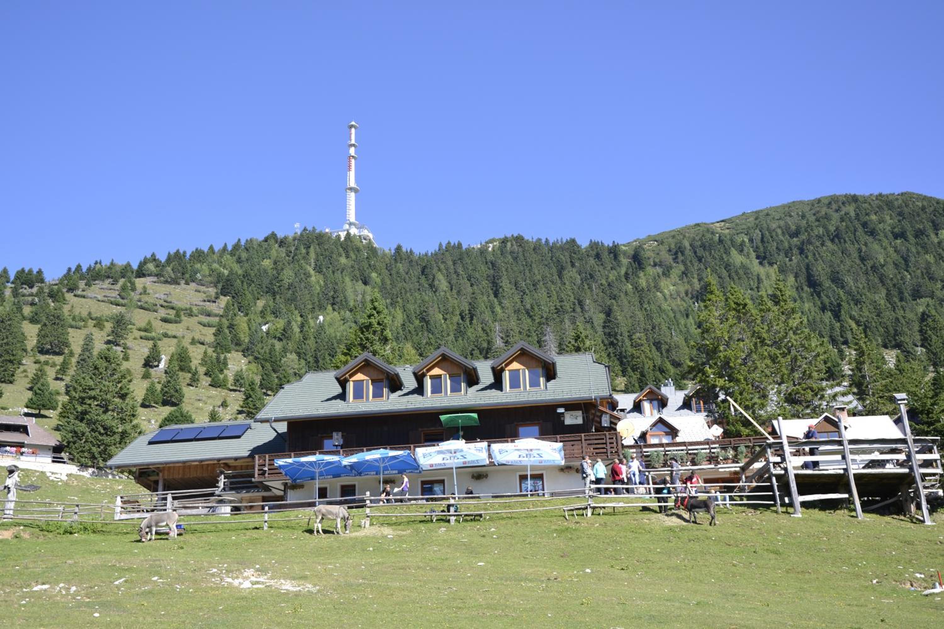 Photo 50