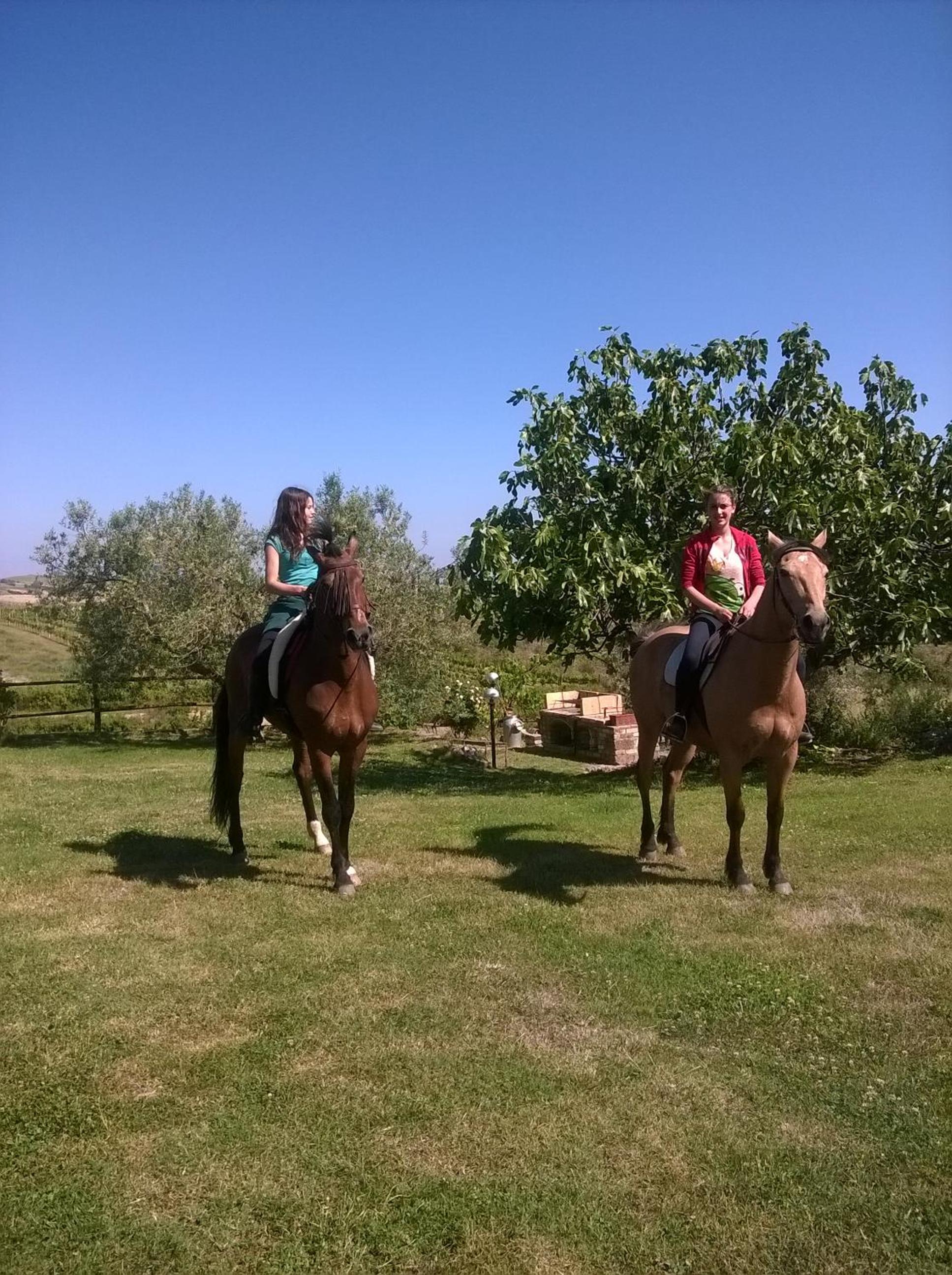 Agriturismo La Svolta