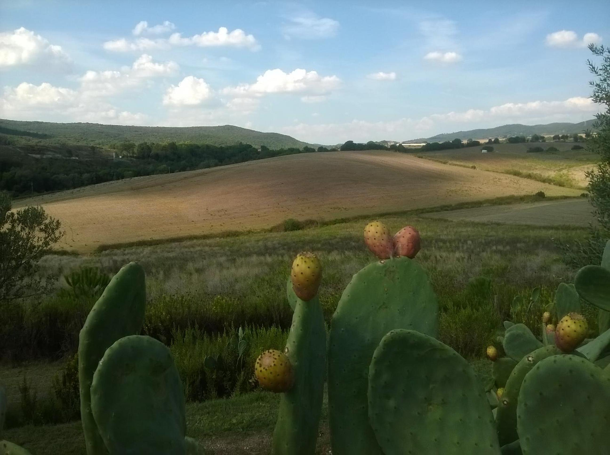 Agriturismo La Svolta