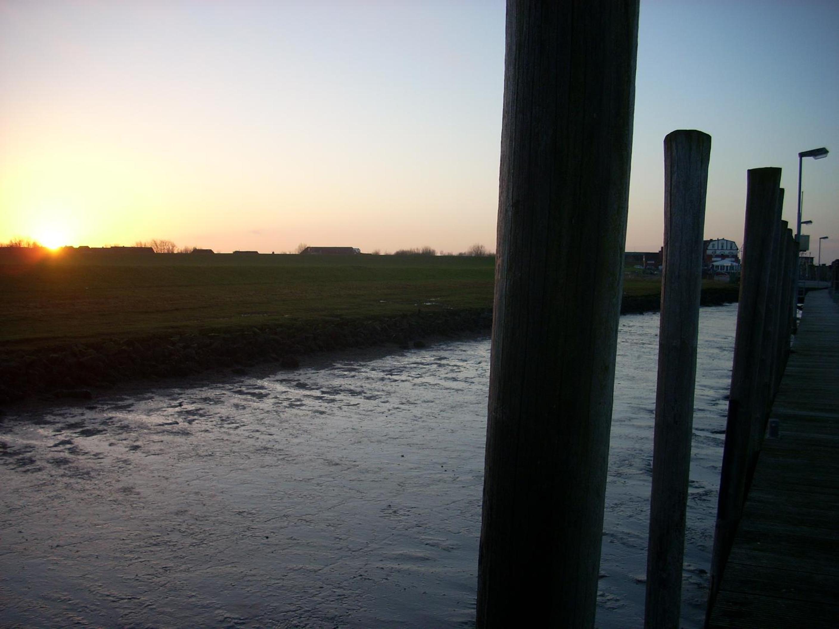 Photo 33