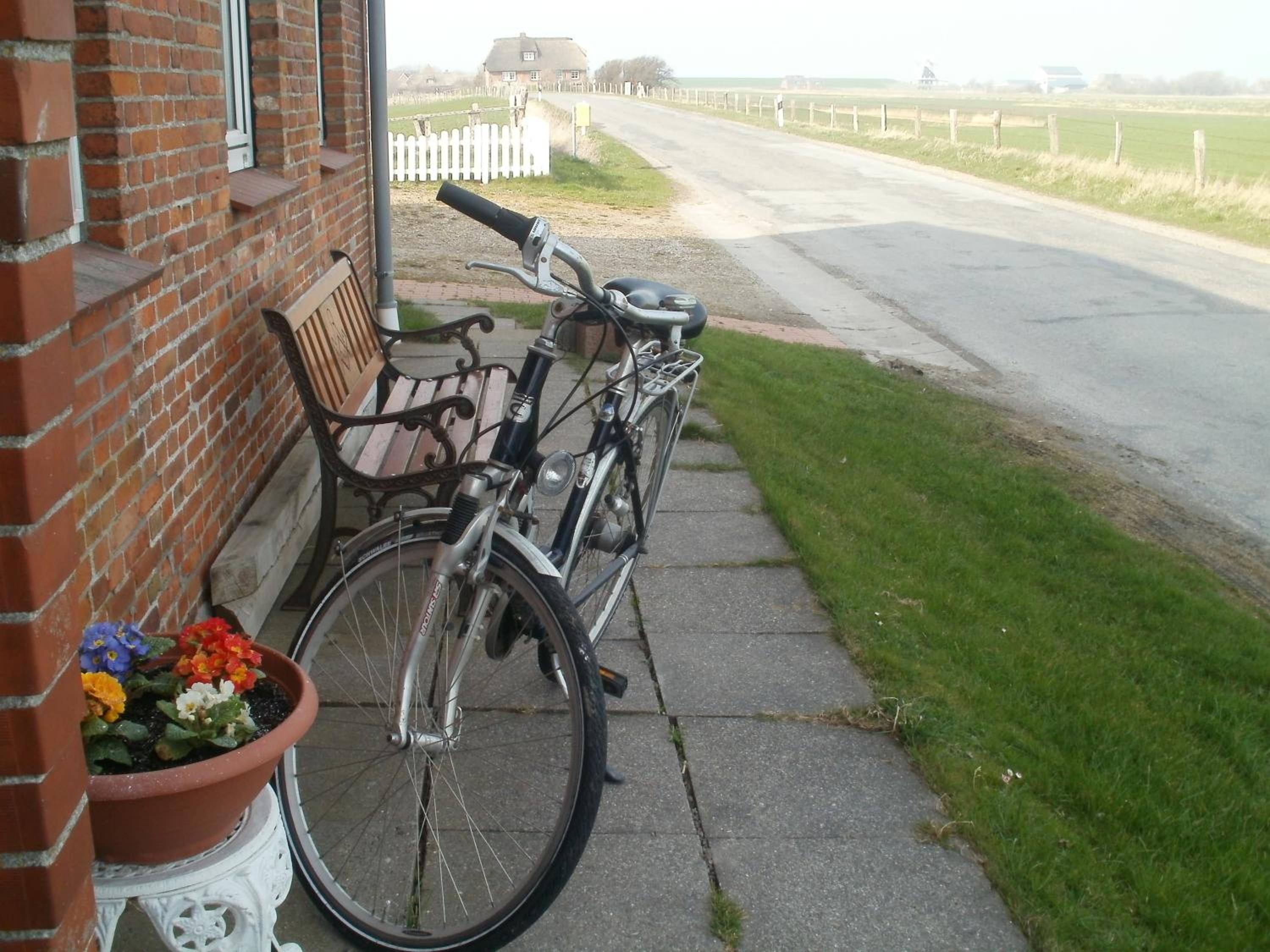 Photo 31