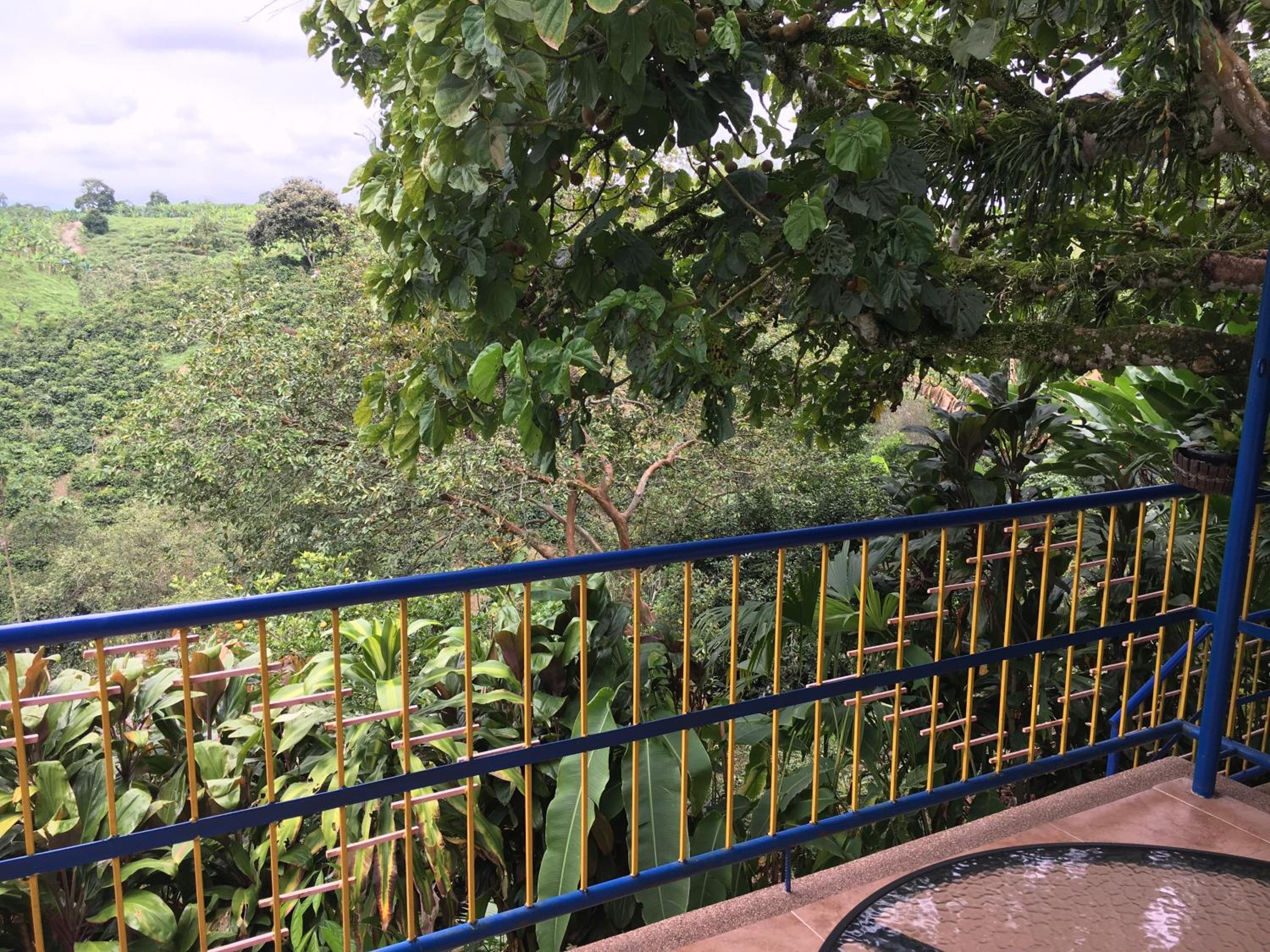 Finca Machangara
