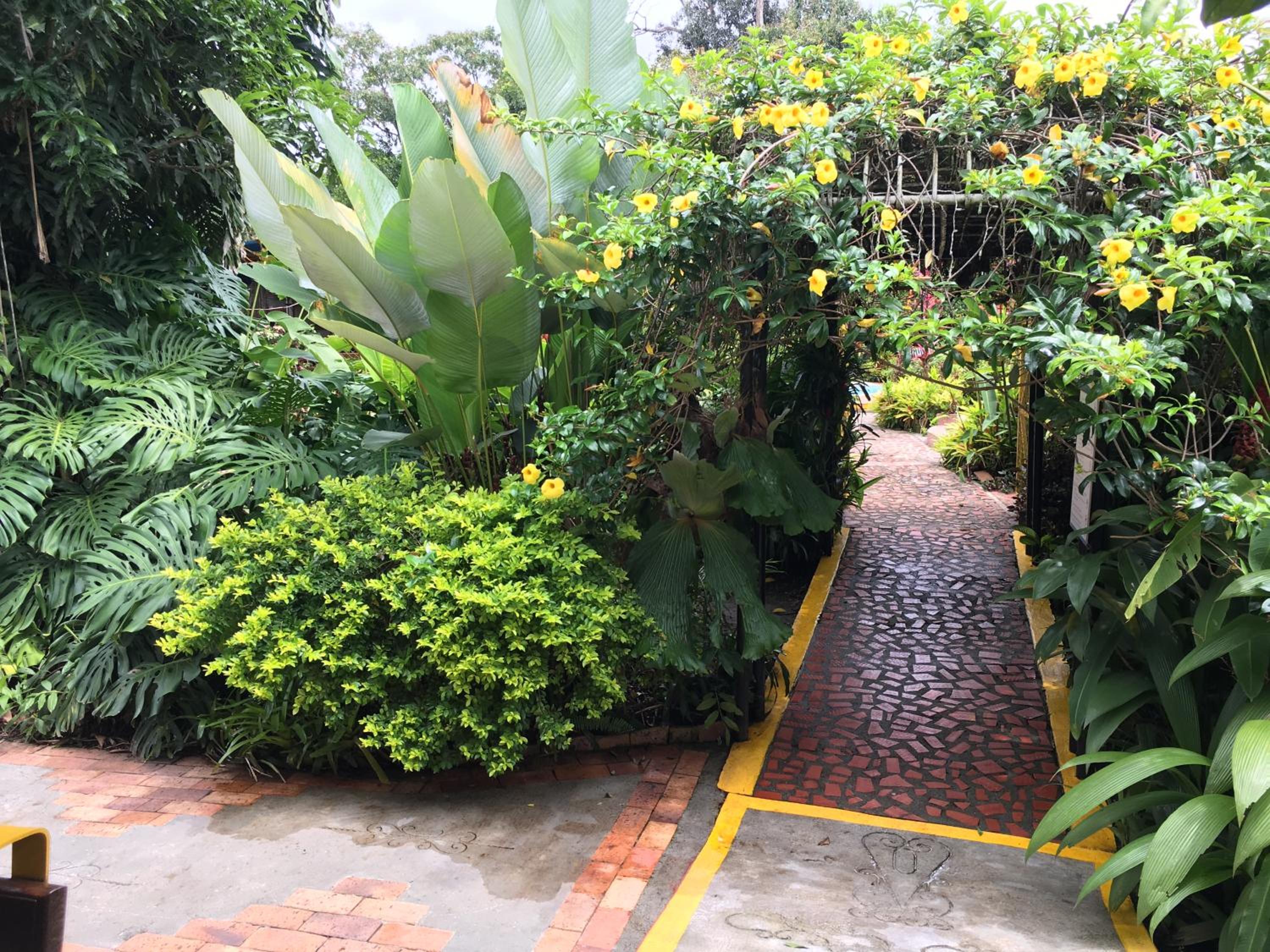 Finca Machangara