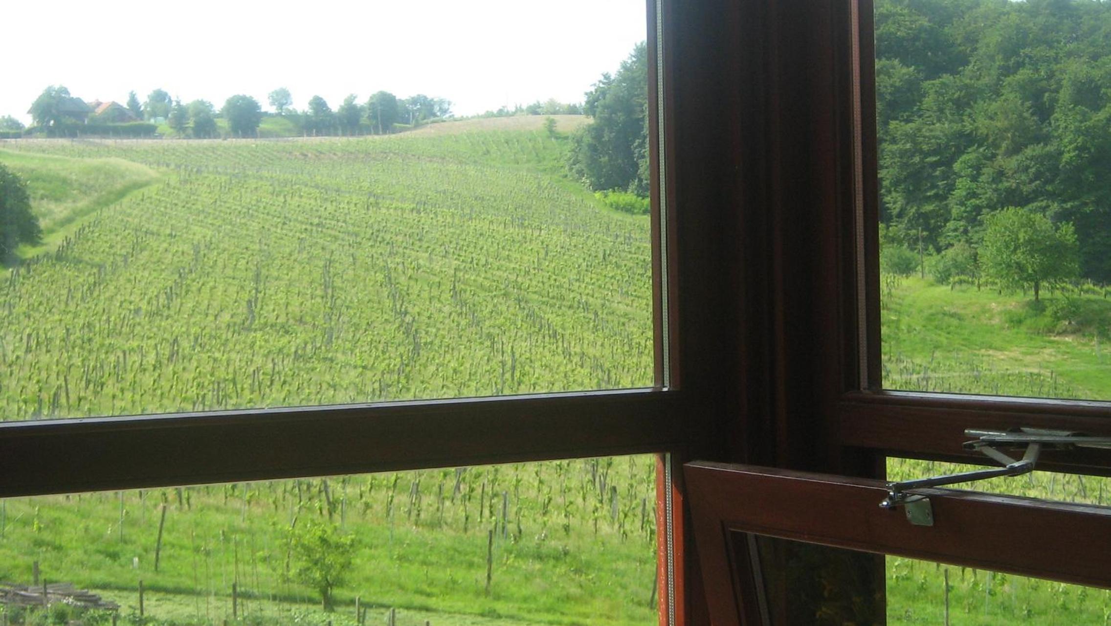 Tourist Farm Joannes view 3