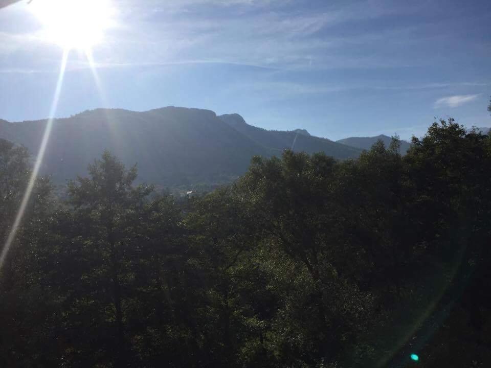 Photo 36