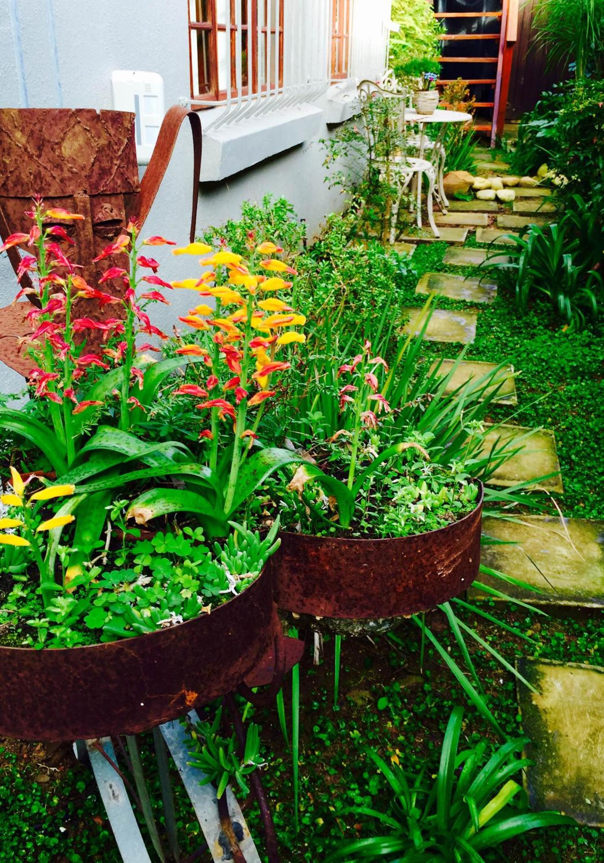 Photo 23