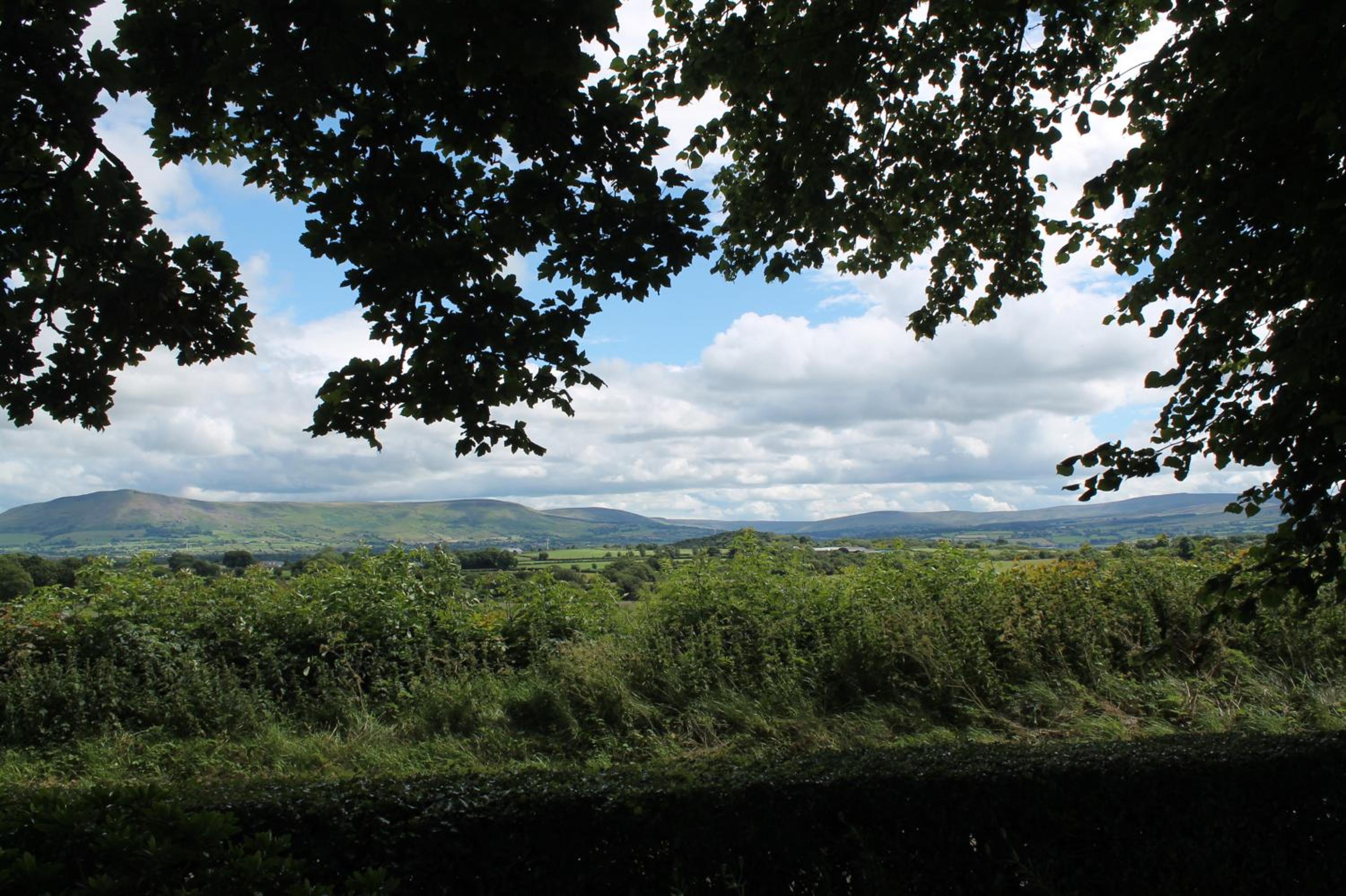 Photo 42