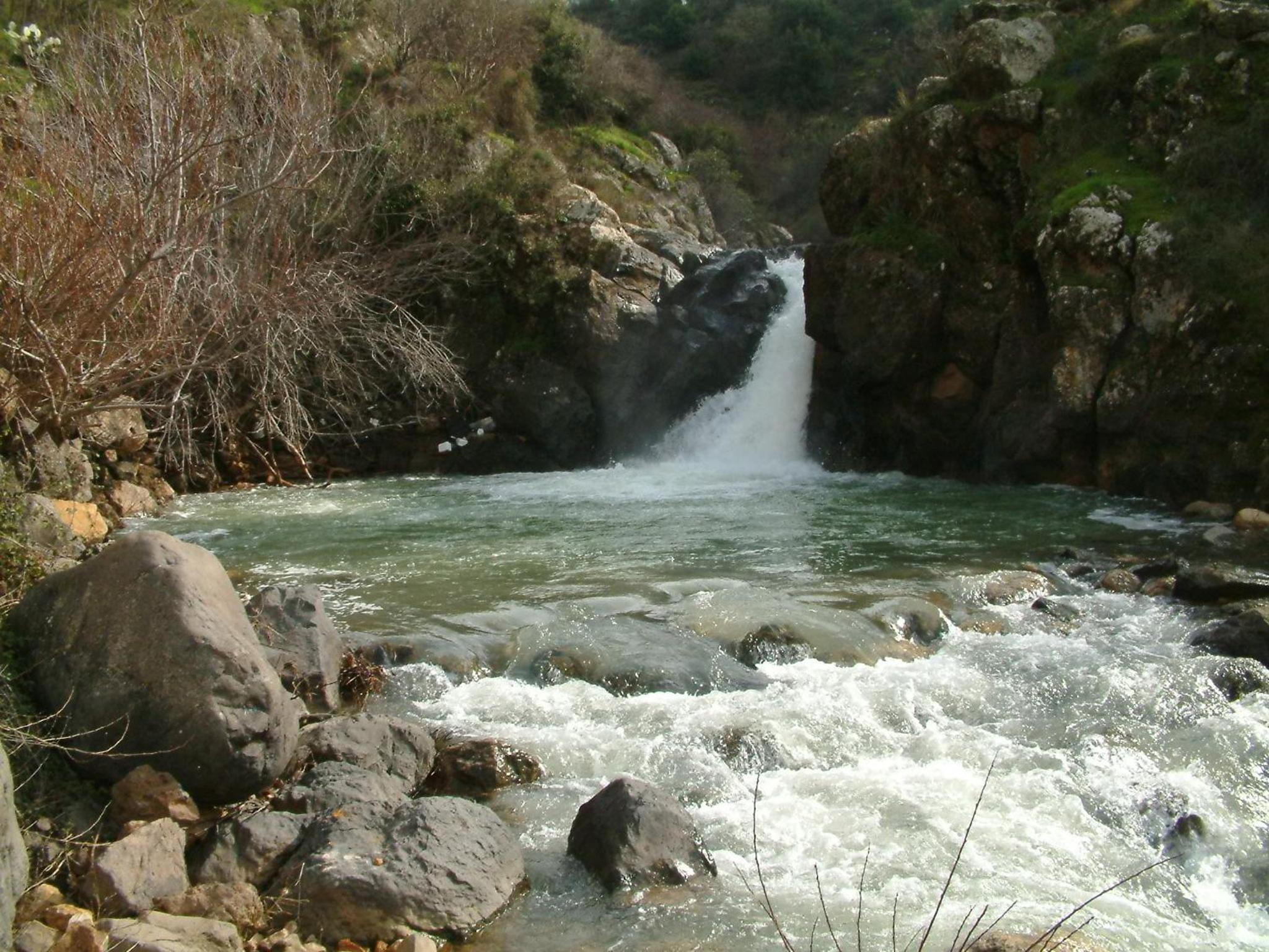Photo 27