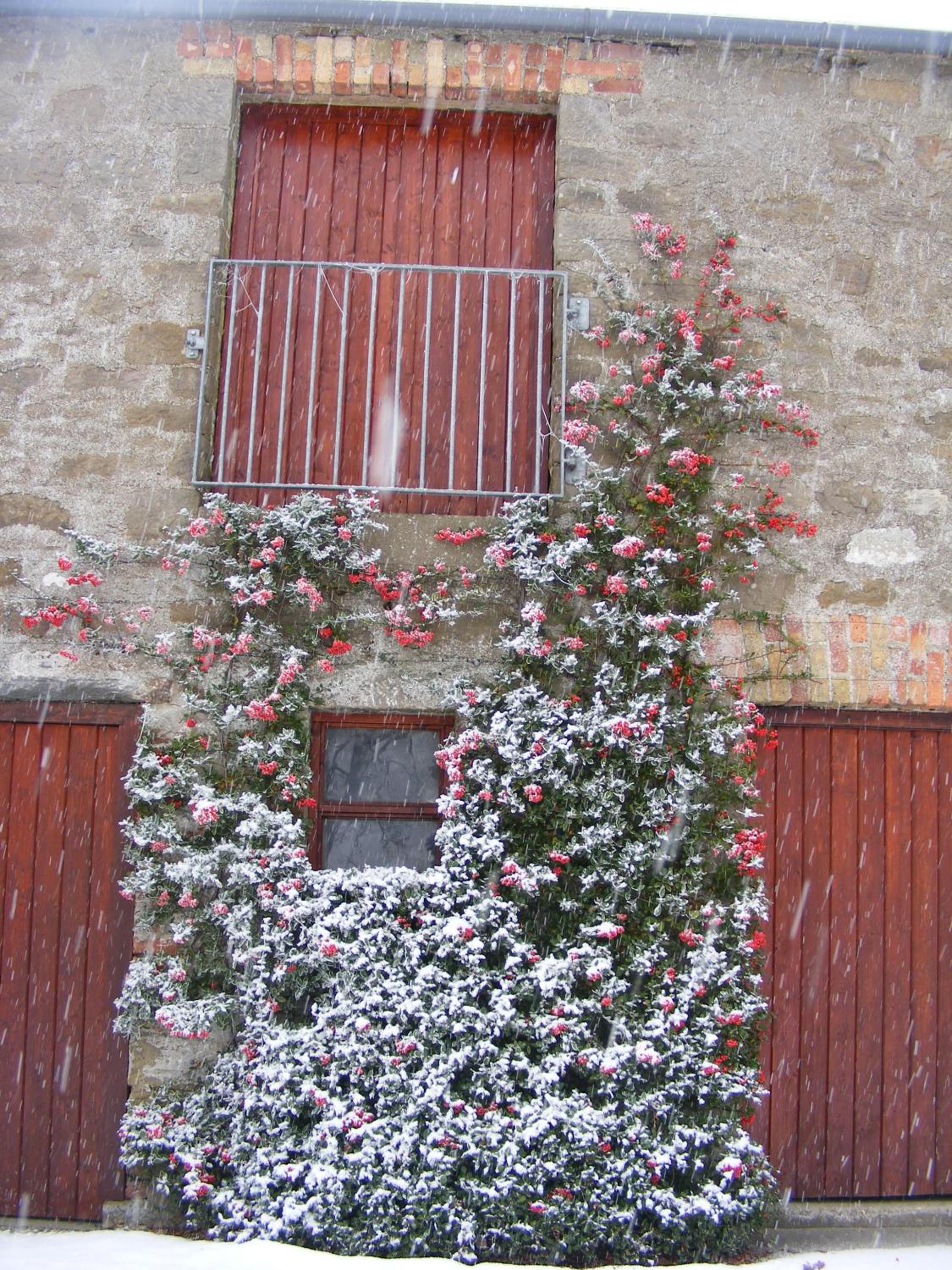 Photo 44