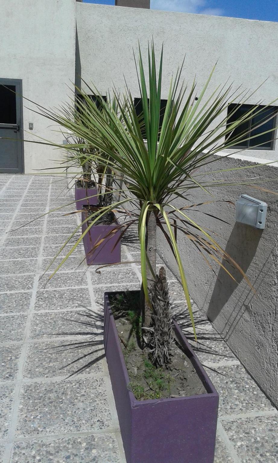 Aires de la Villa II