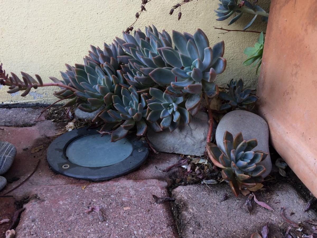 Il Giardino B&B