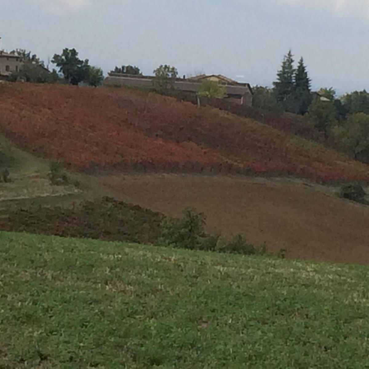 Il Giardino B&B