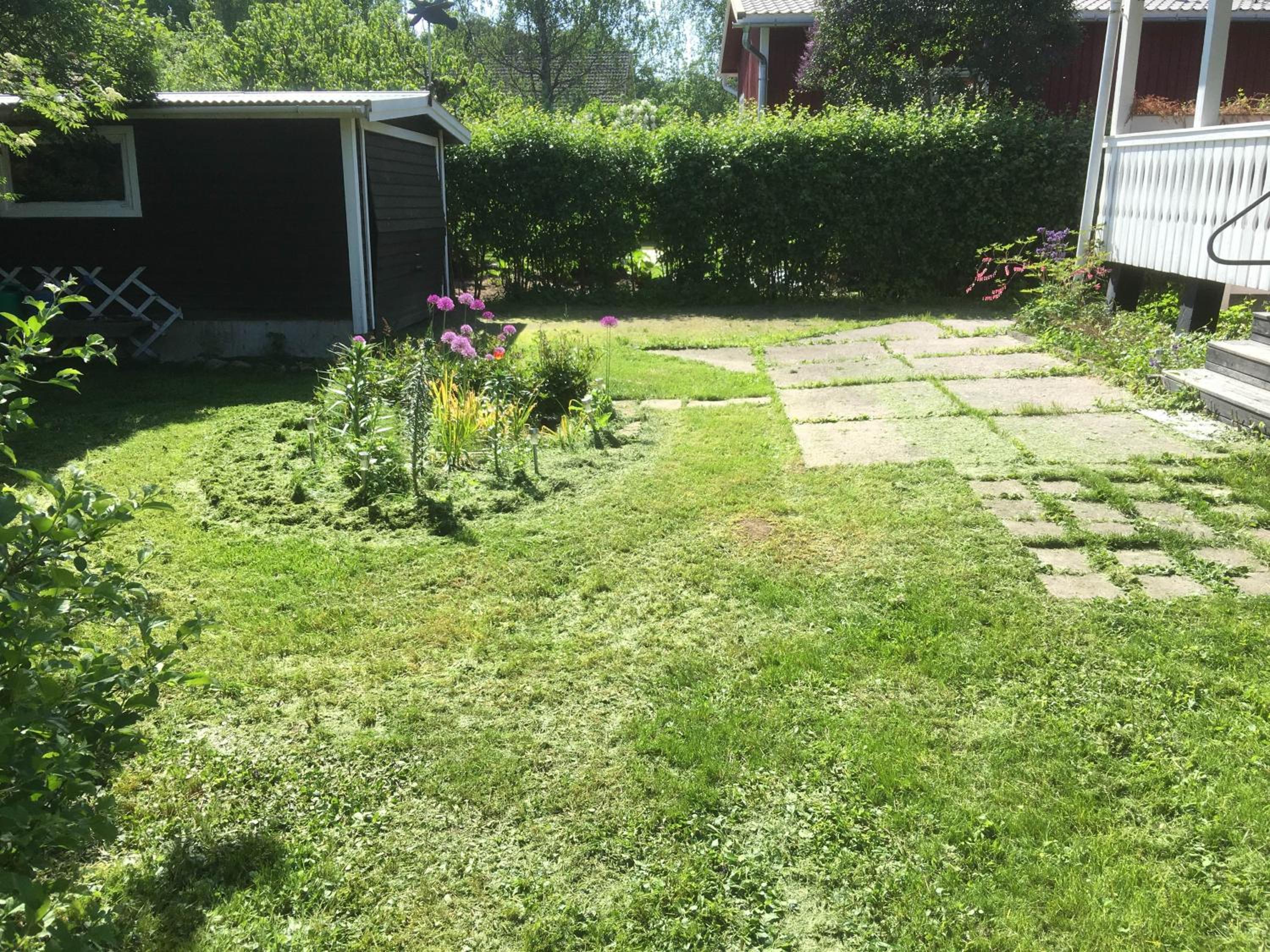 Photo 10