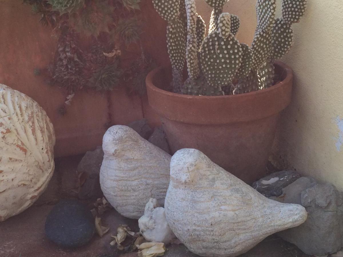 Il Giardino B&B