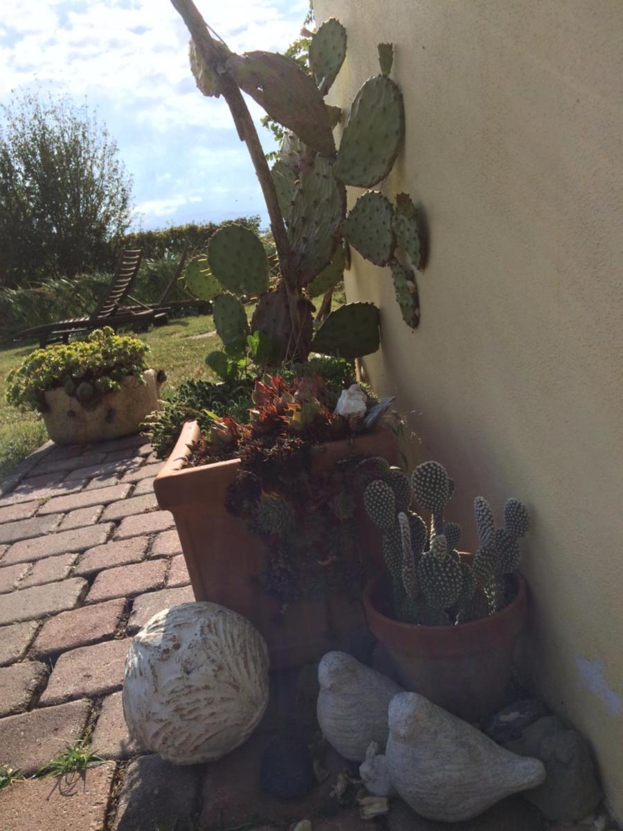 Il Giardino B&B