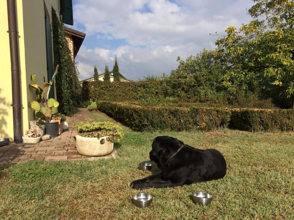Il Giardino B&B