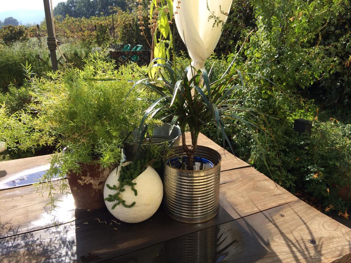 Il Giardino B&B