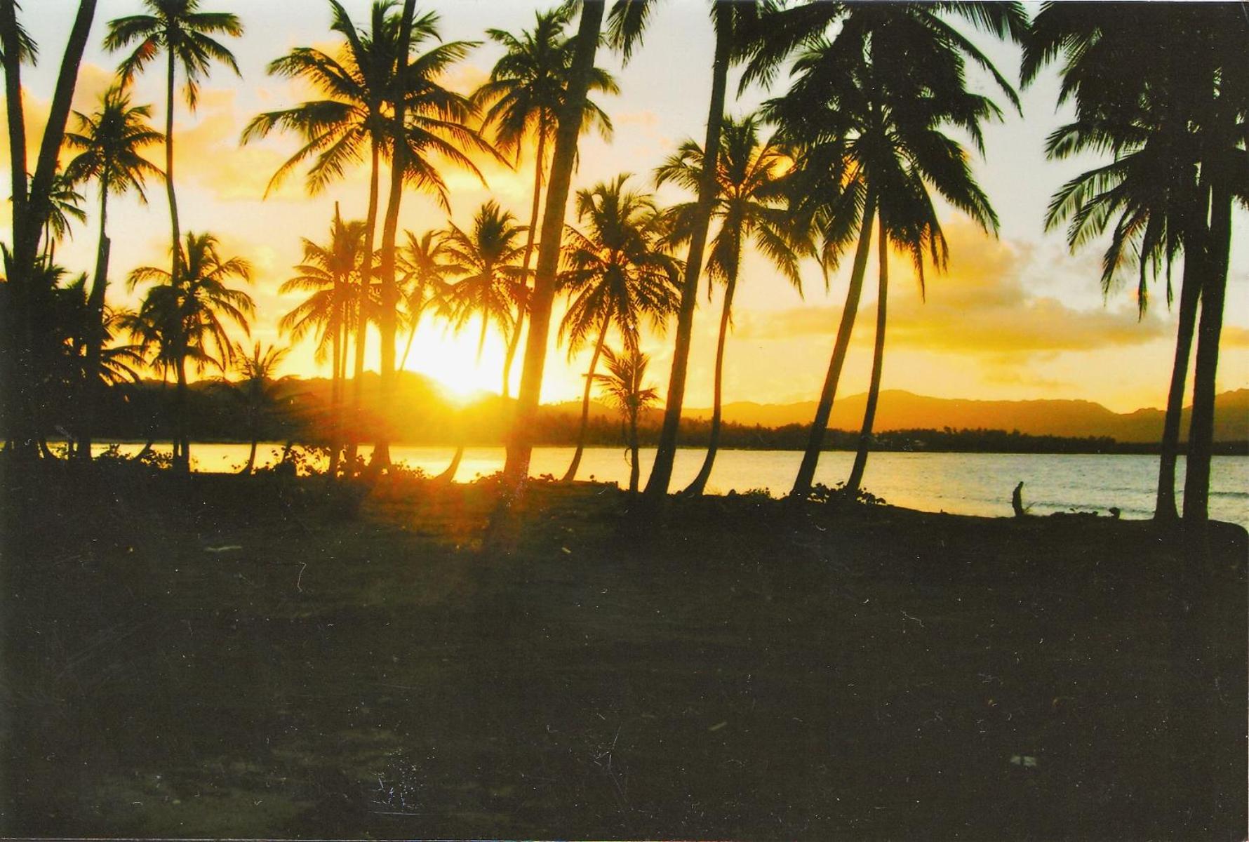 Photo 30