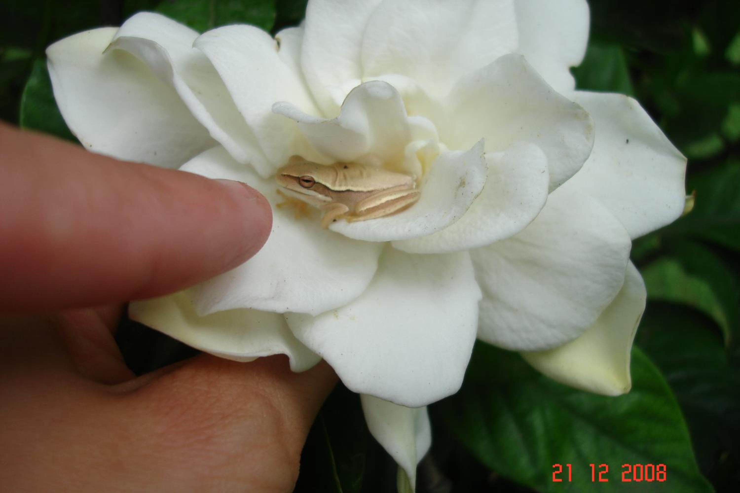 La Rosa de los Vientos km54