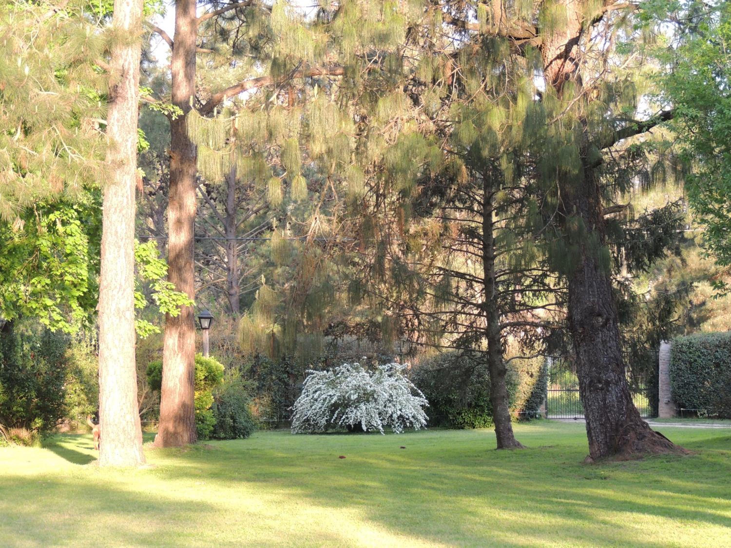 La Rosa de los Vientos km54