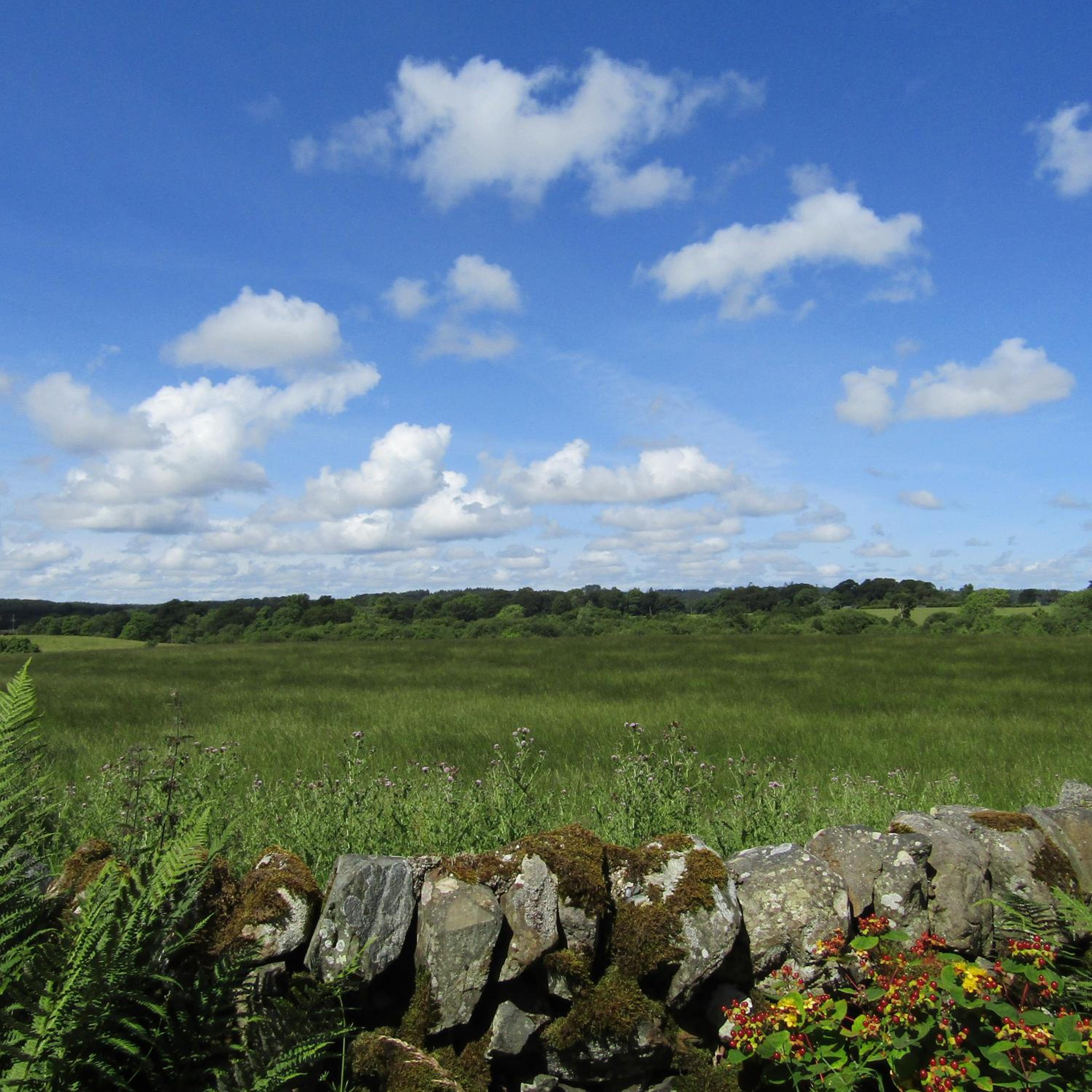 Barnkirk Holidays