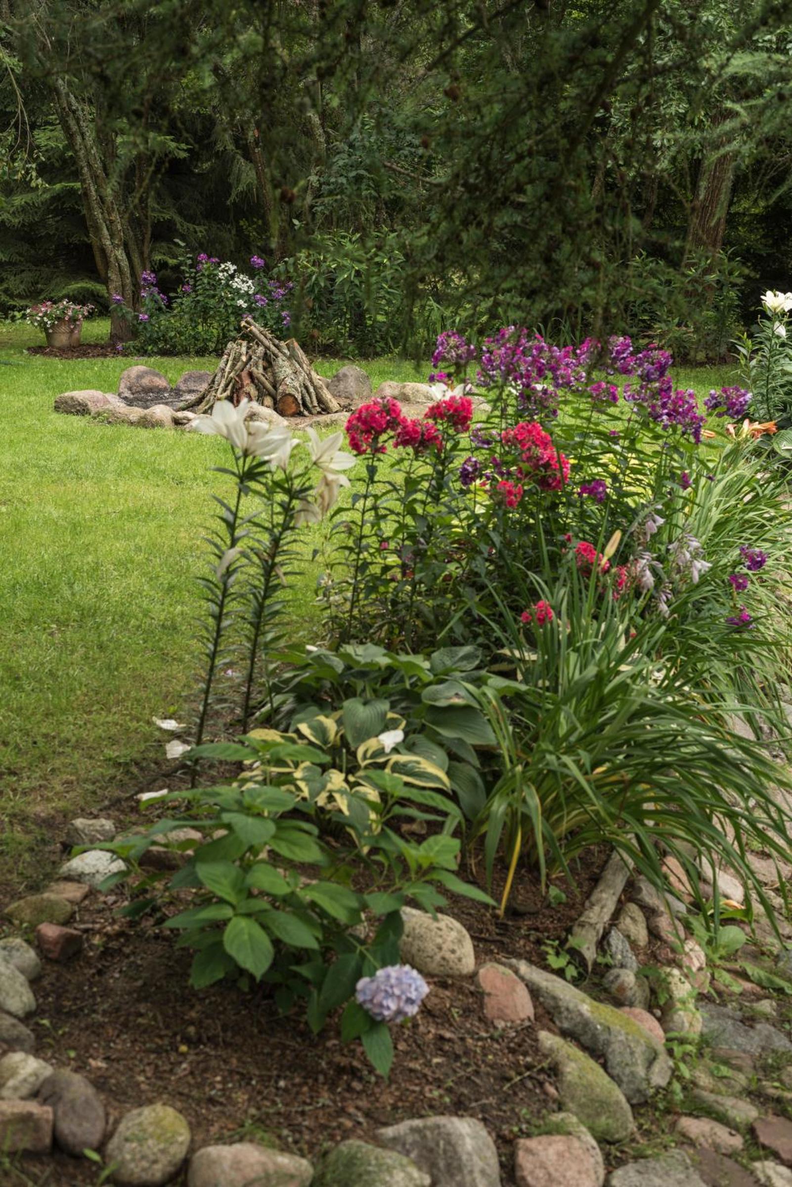 Photo 32