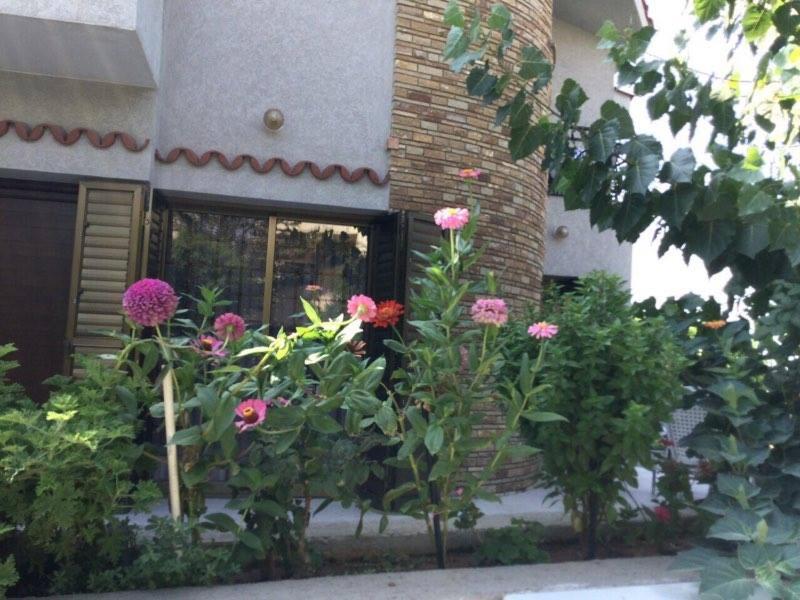 Nikola's House