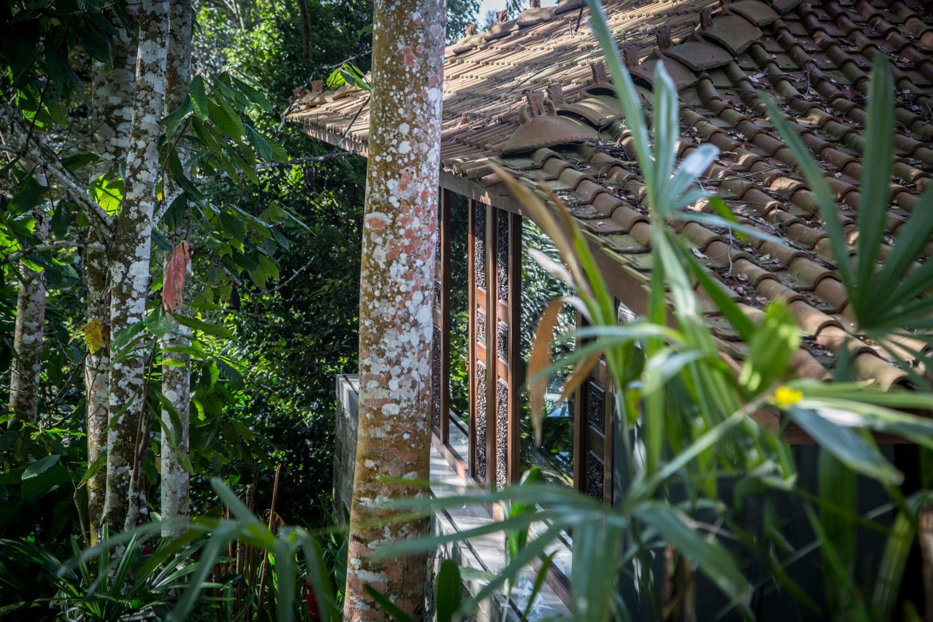 Alassari Plantation