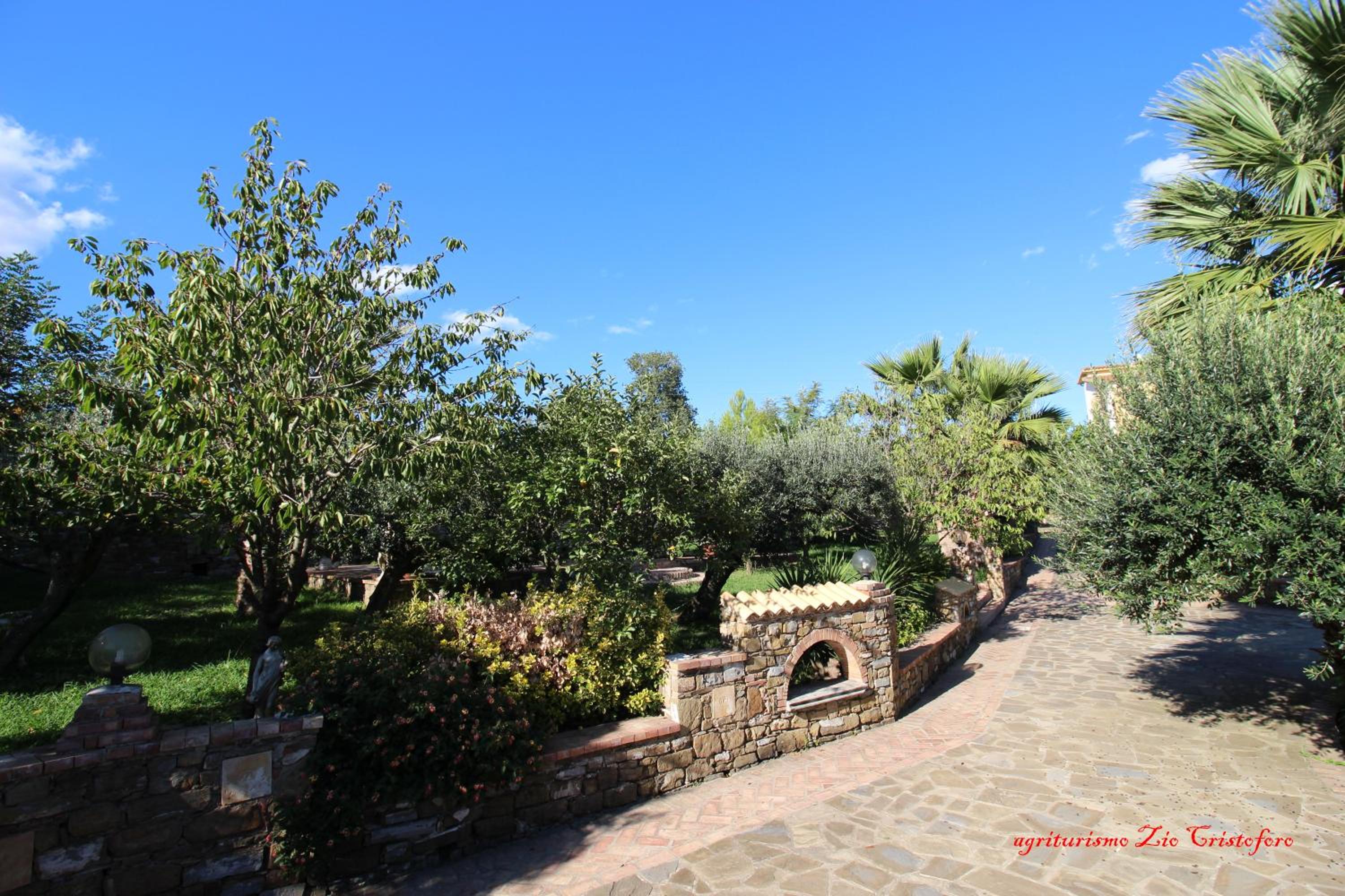 Photo 26