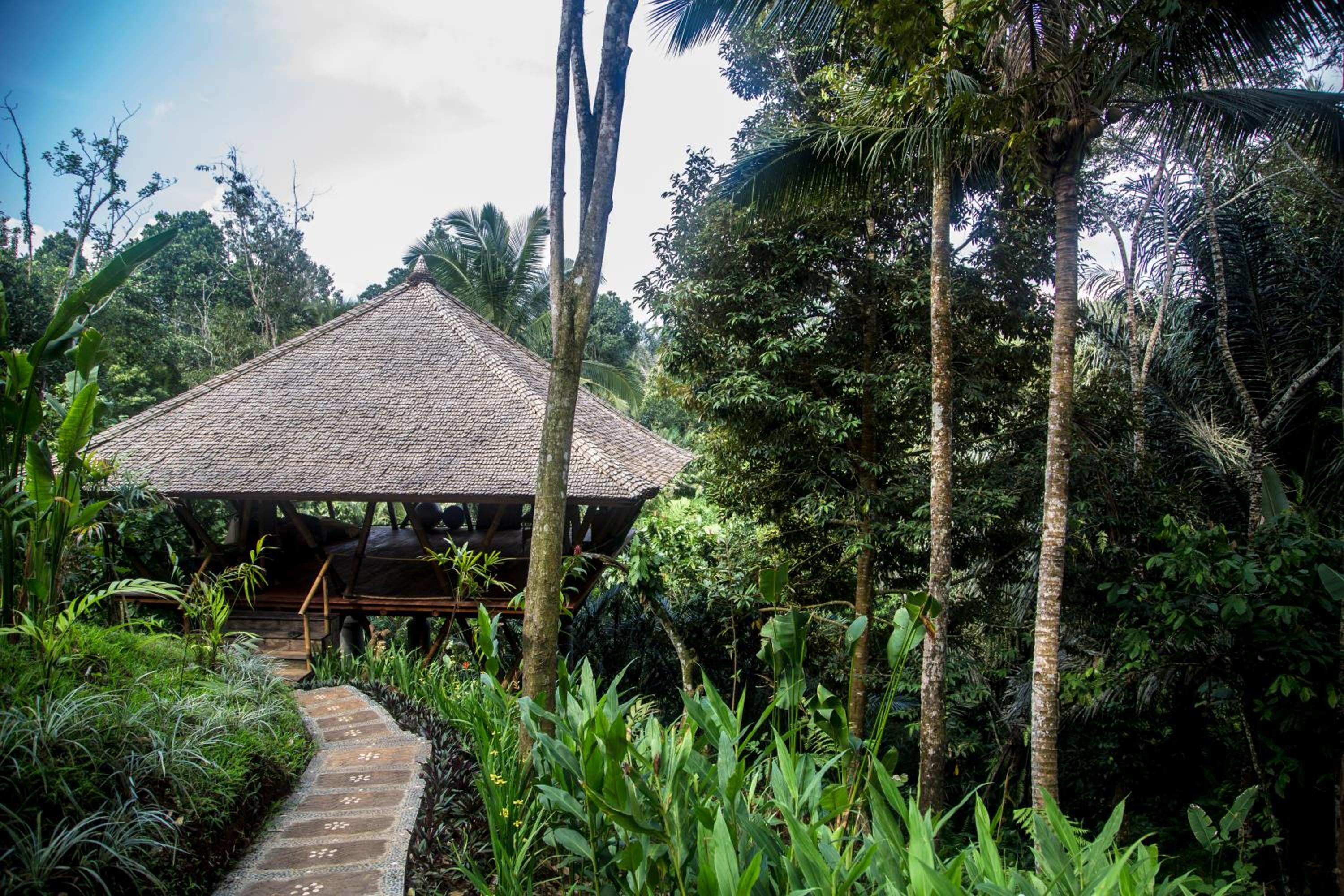 Alassari Plantation