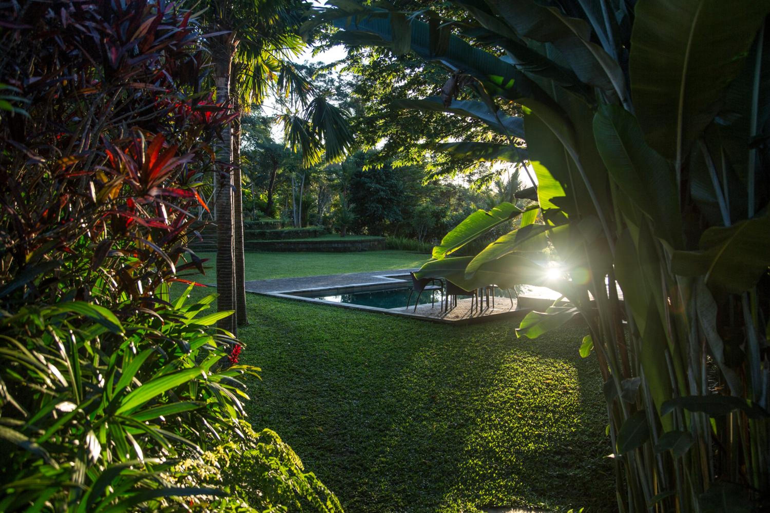 Alassari Plantation