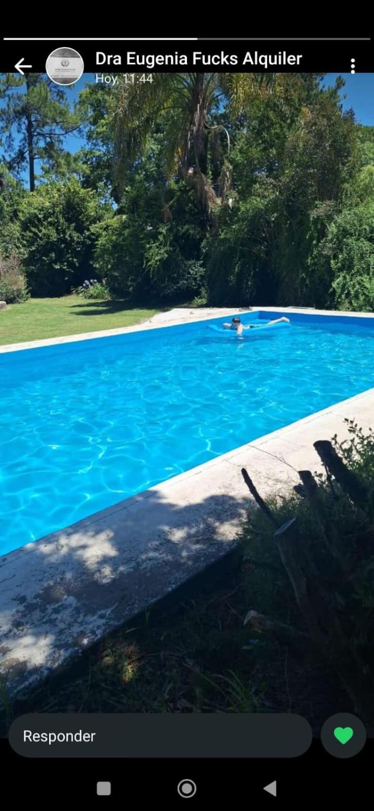 El buho