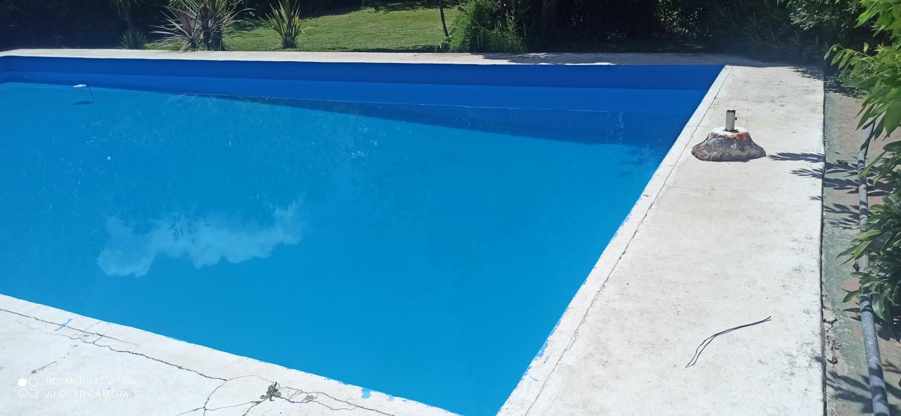 El buho