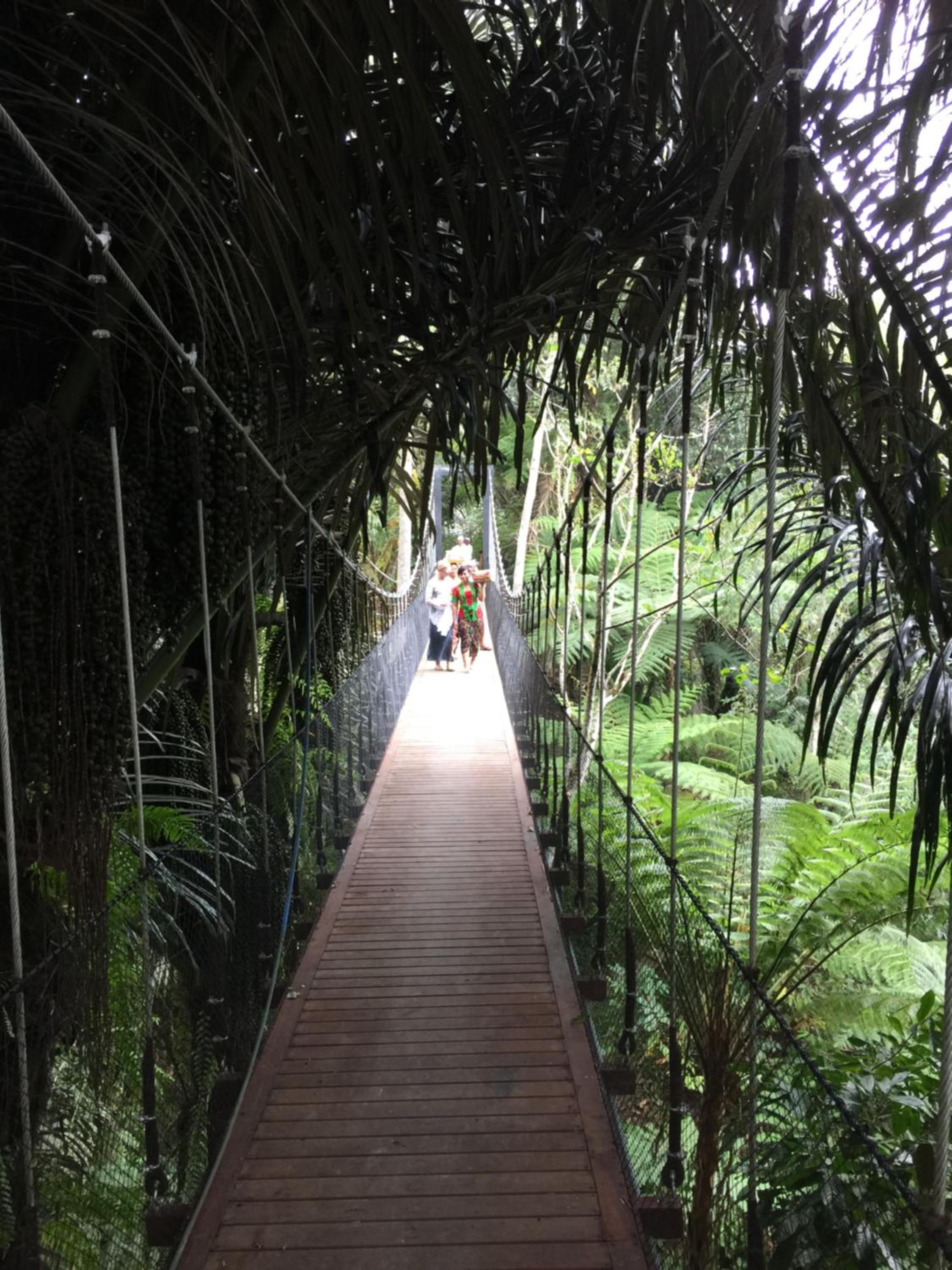 Alassari Plantation