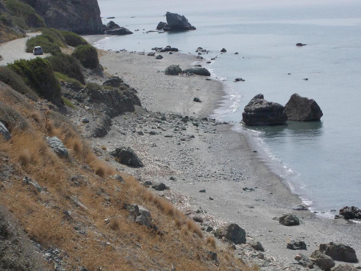 Photo 44