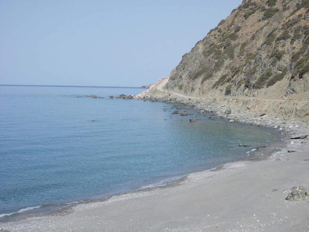 Photo 43