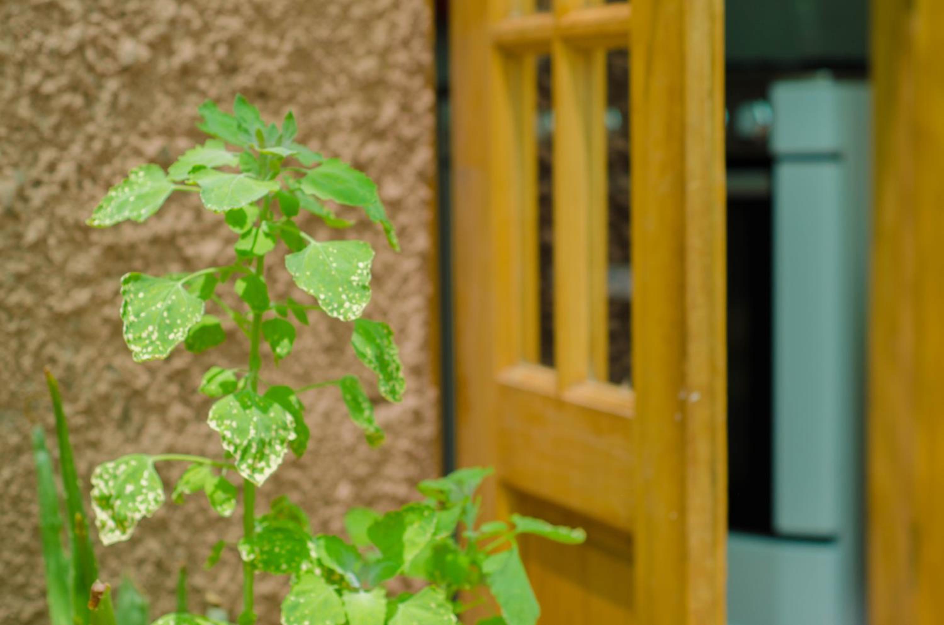 Hostal Alabalti