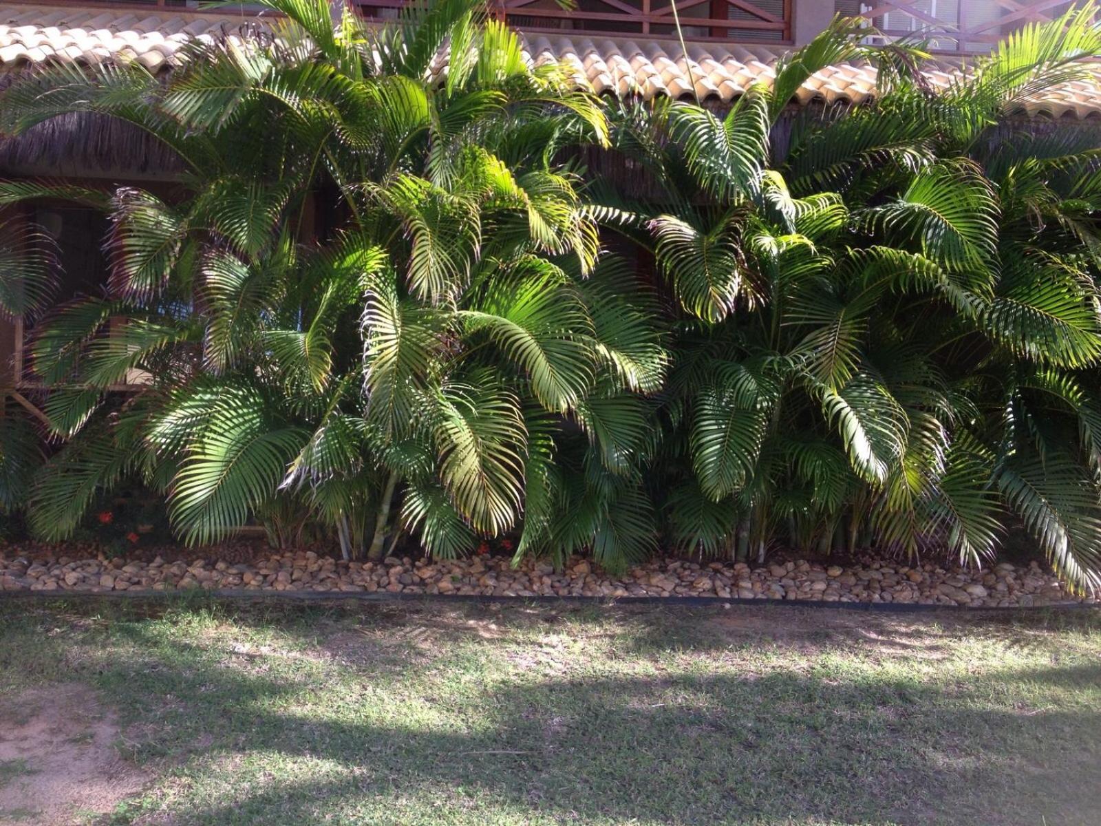 Eco Flecheiras Residence