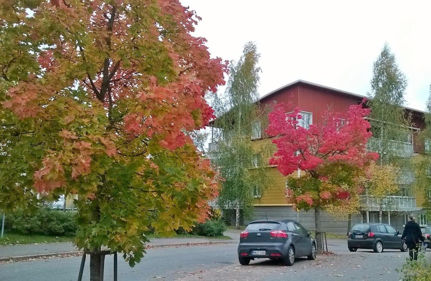 Pinjakoti