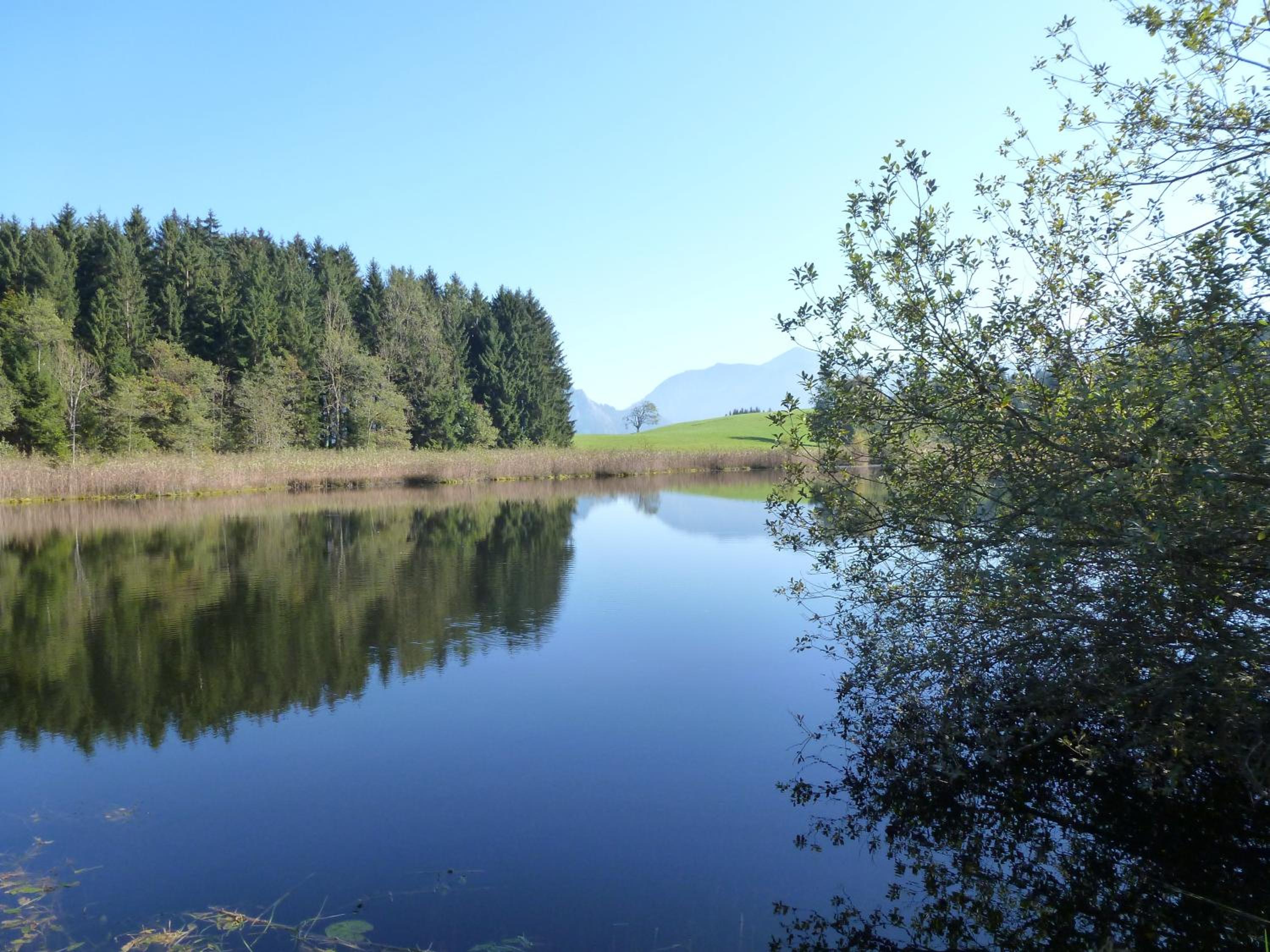 Photo 48