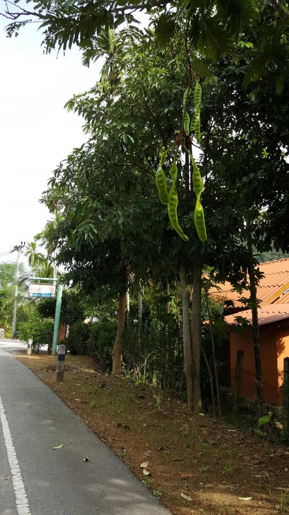 At Sichon Resort