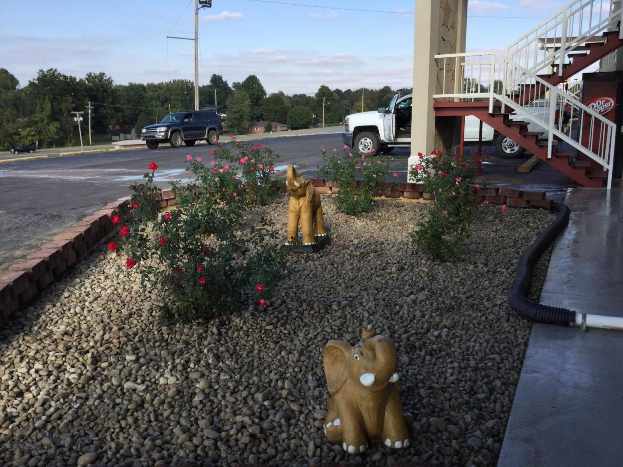 Big Spring Inn Madisonville