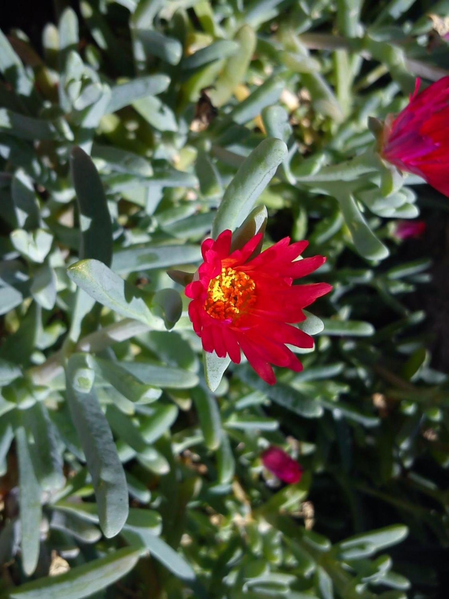 Photo 48