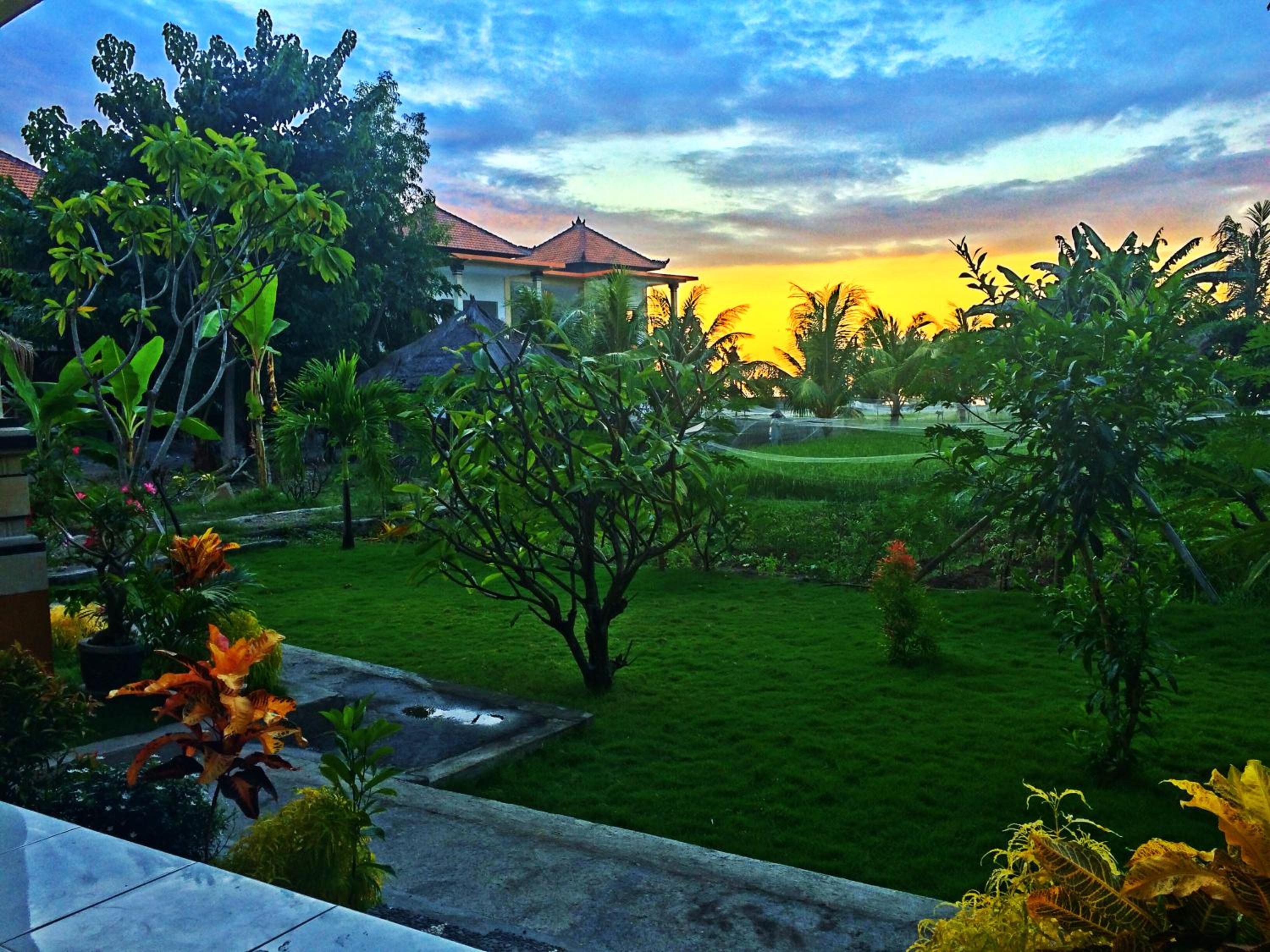 Taman Padi Villa