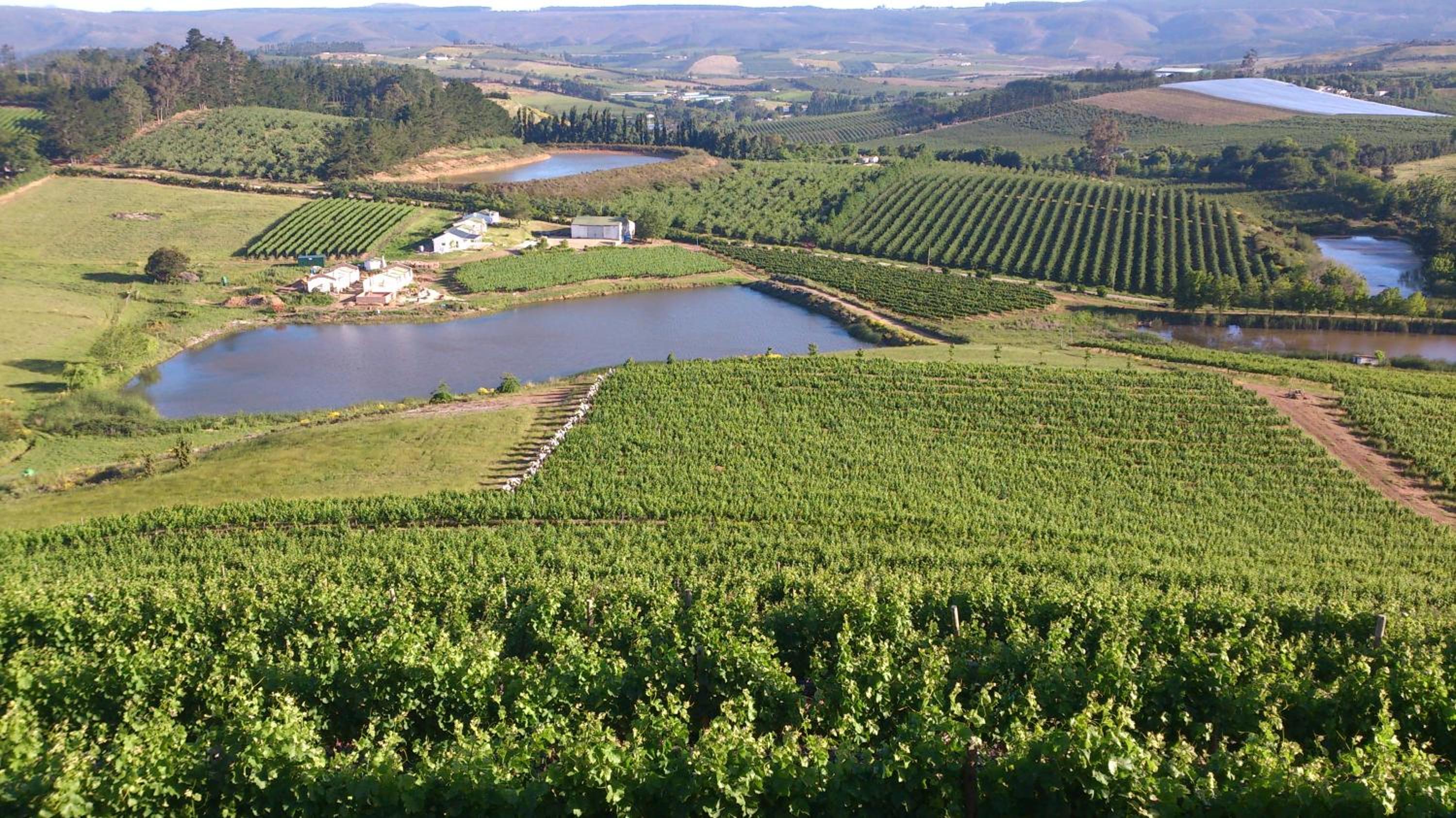Paul Wallace Wines & Cottages