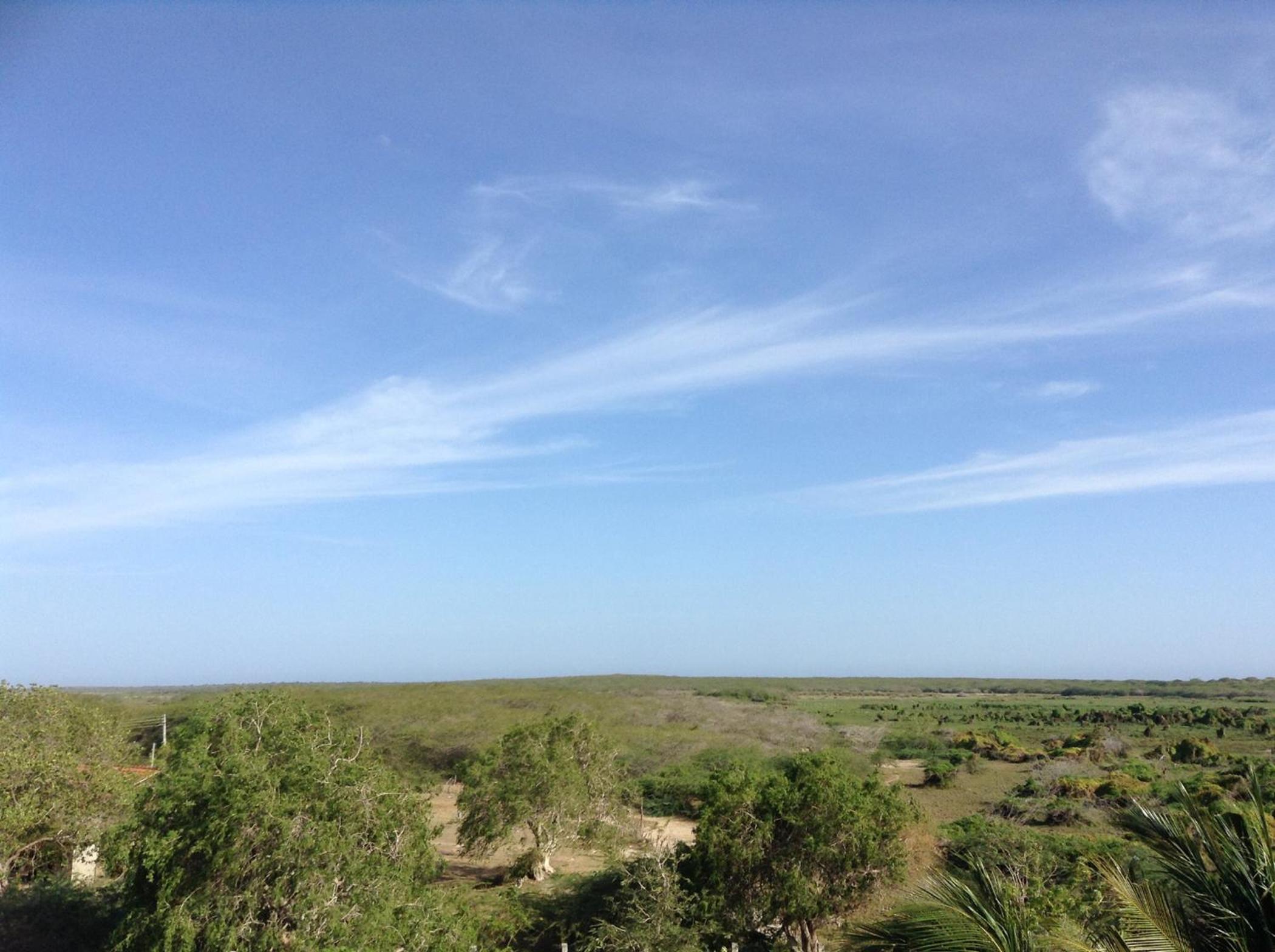 Photo 47