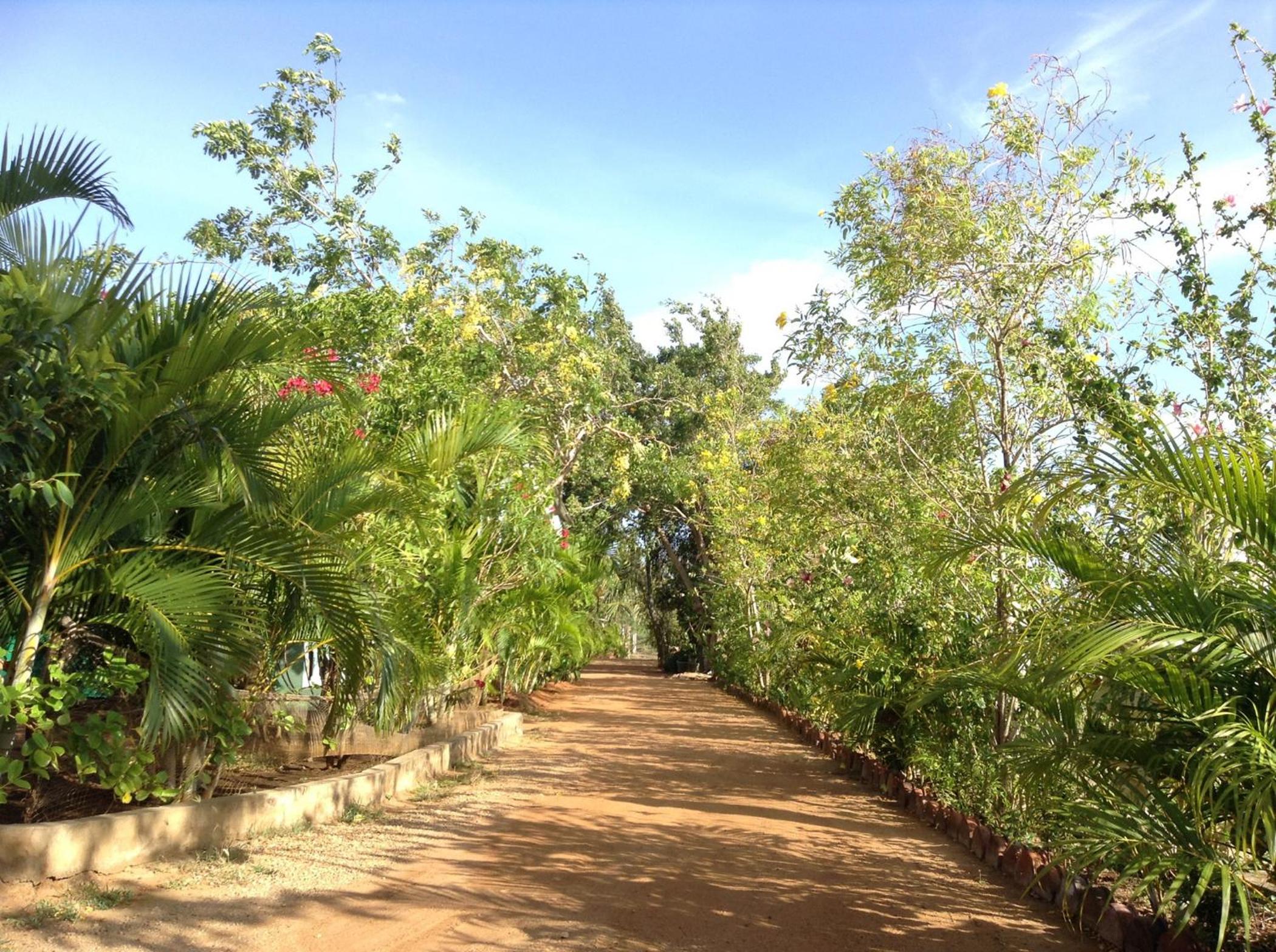 Photo 25