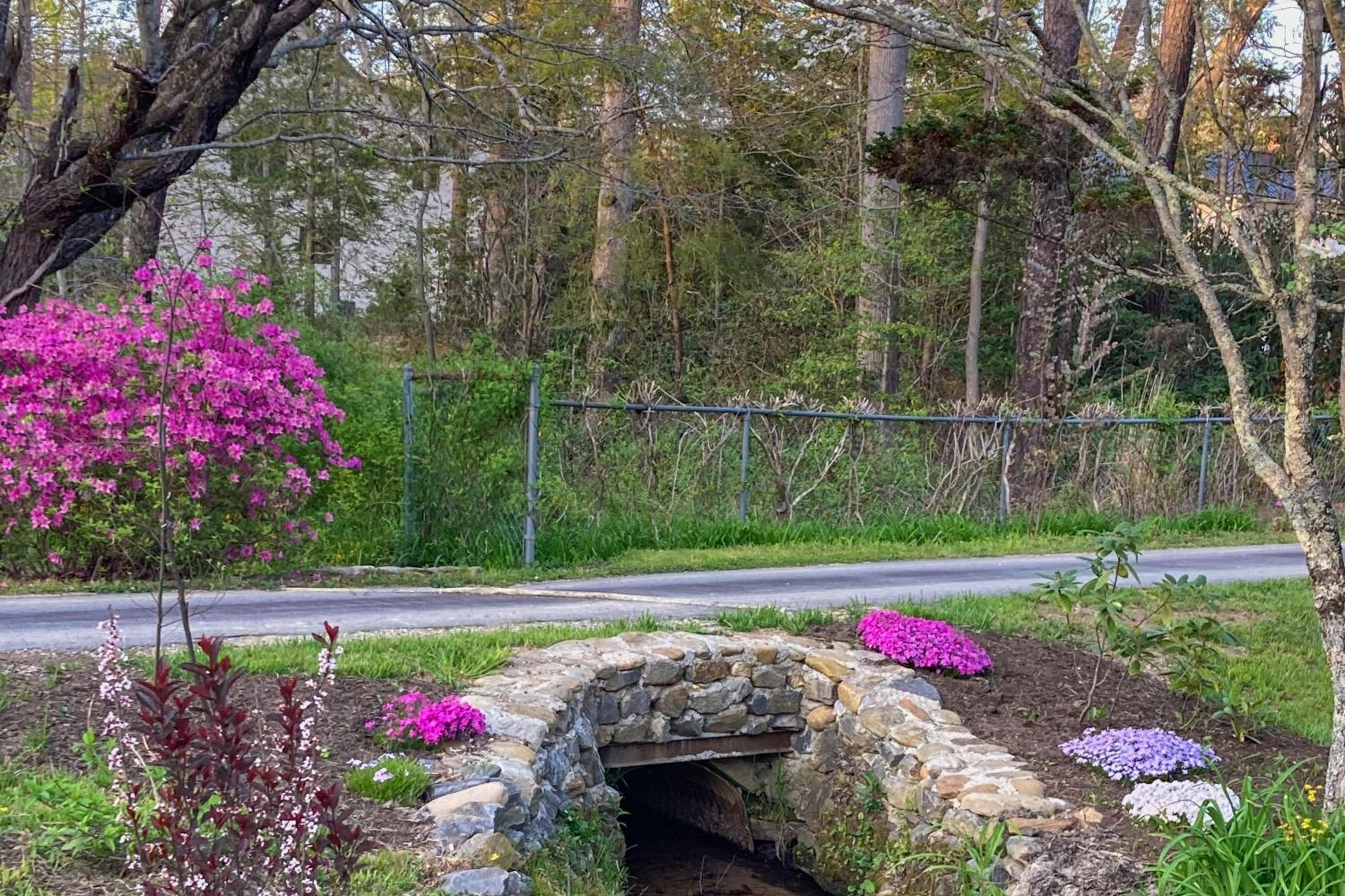 Private Patio and Pond Serene Black Mountain Escape