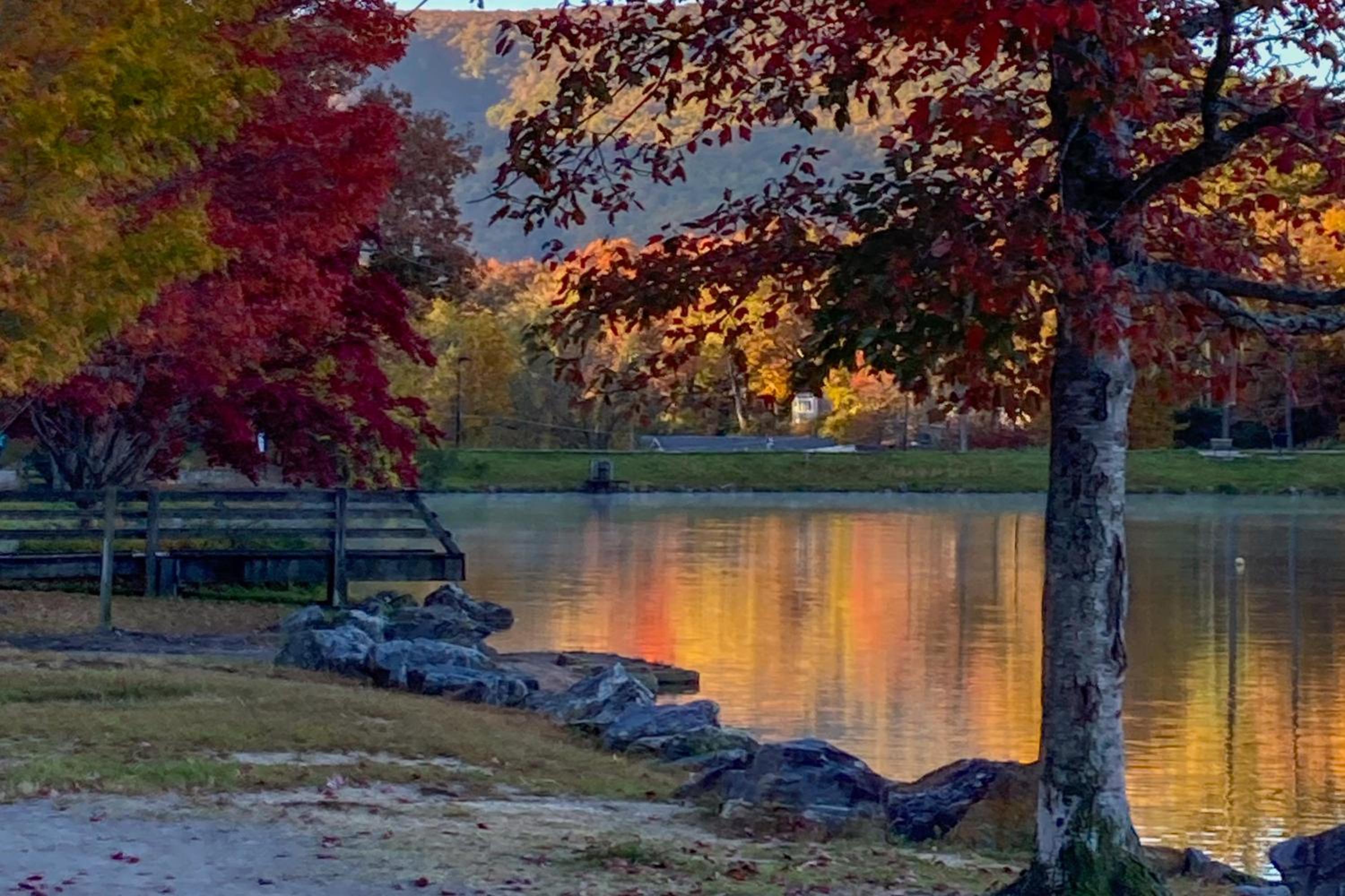 Private Patio and Pond Serene Black Mountain Escape