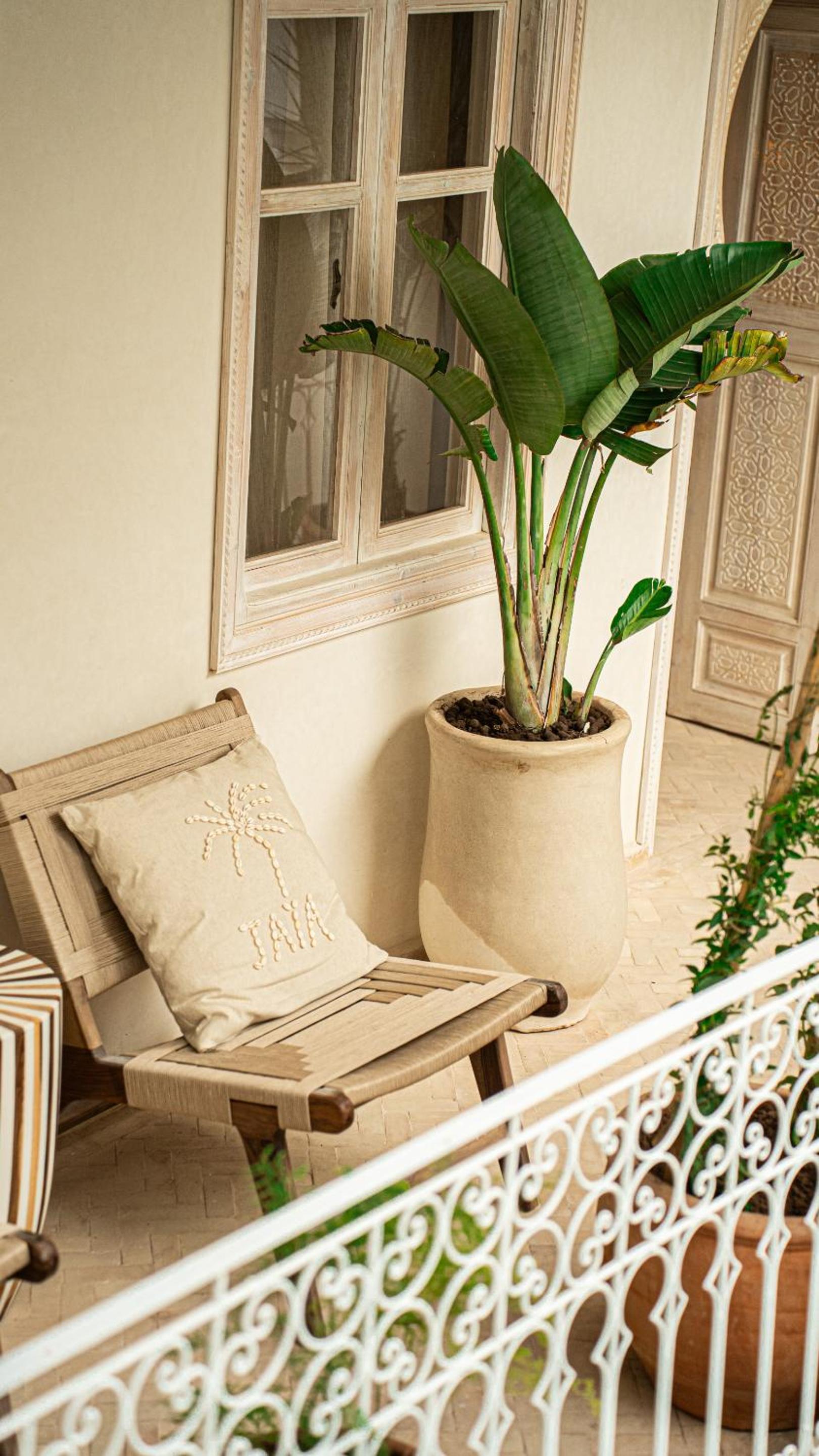 Riad JAIA